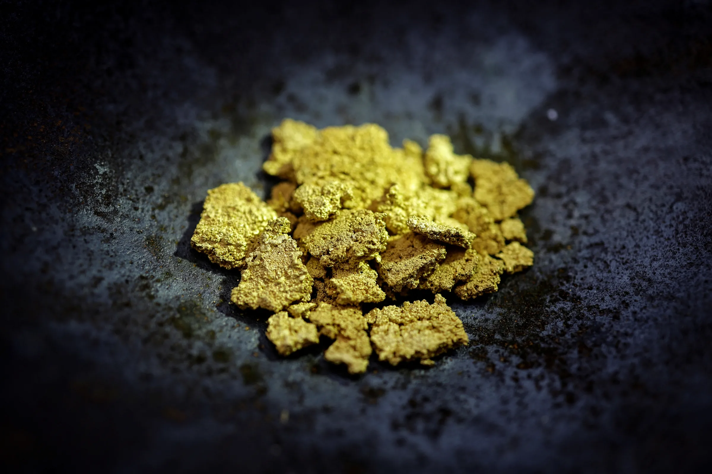 Confiscated gold is displayed after being captured during an operation against illegal mining in Yanomami Indigenous land, in rural Boa Vista, Roraima state, Brazil, December 7, 2023. REUTERS/Ueslei Marcelino