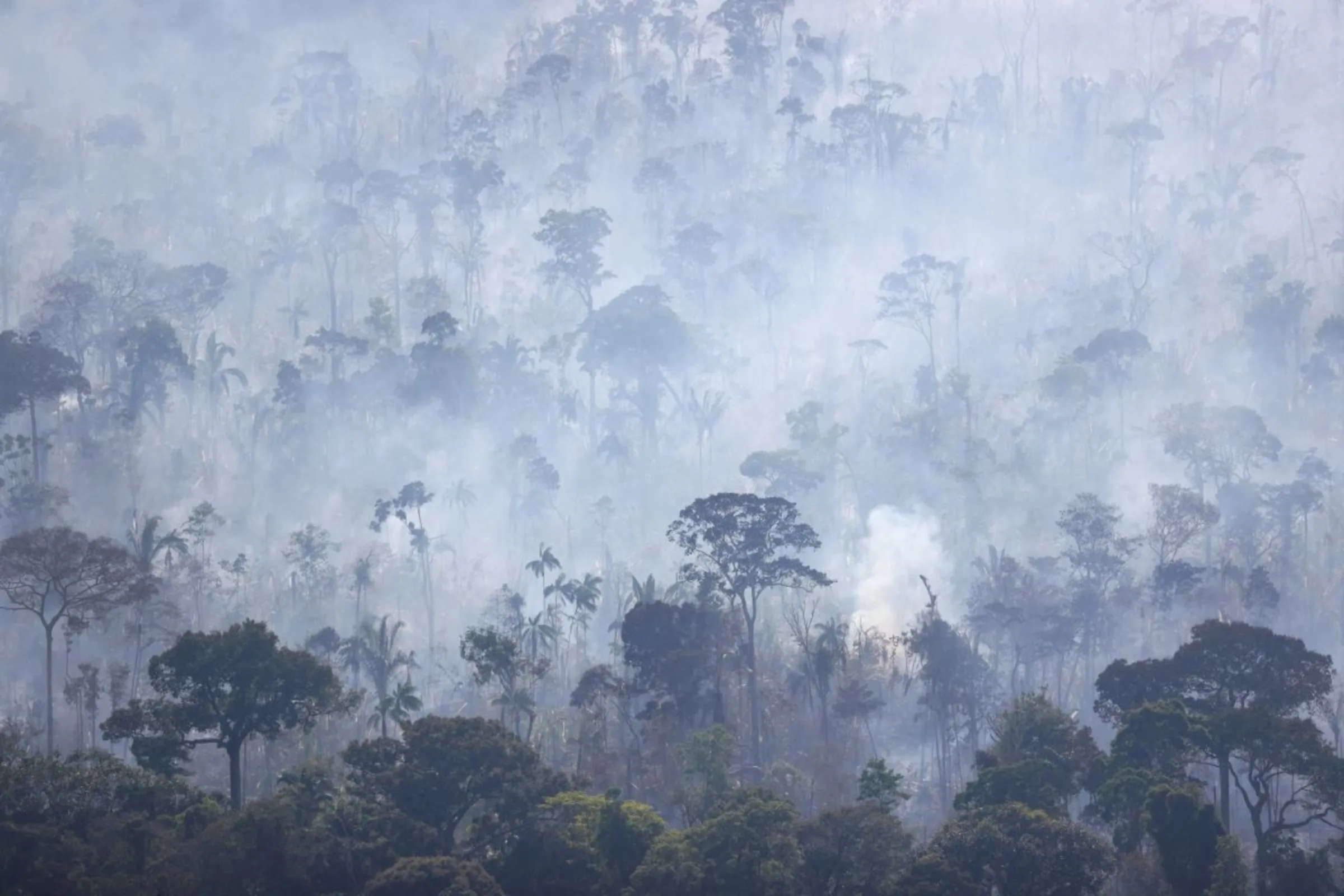 Smoke from a fire rises into the air as trees burn amongst vegetation in Brazil's Amazon rainforest near Humaita, Amazonas state, Brazil, August 3, 2023. REUTERS/Leonardo Benassatto