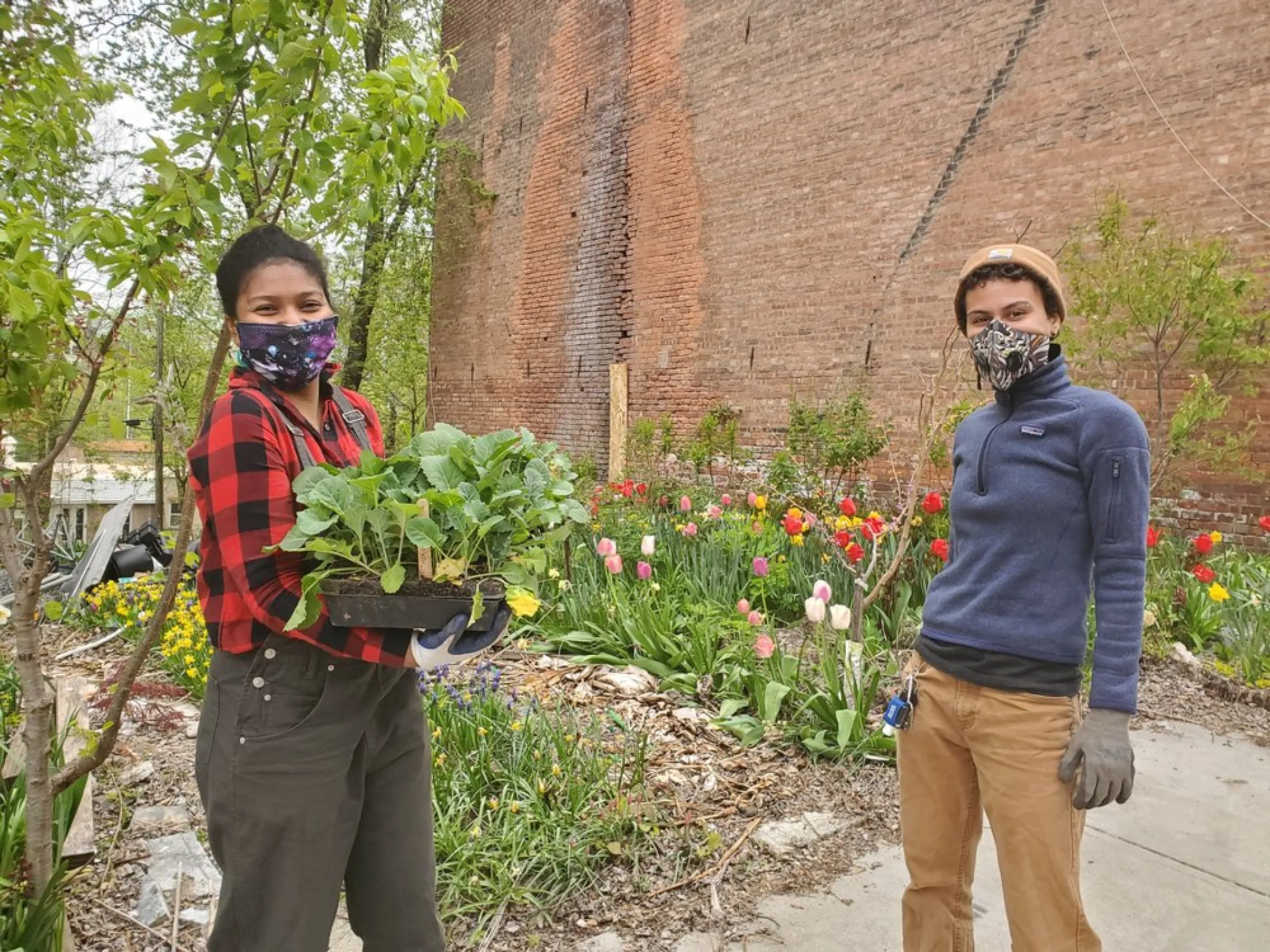 Soul Fire Farm employee Kiani Conley-Wilson and a volunteer poses for a photo while planting an urban garden in New York