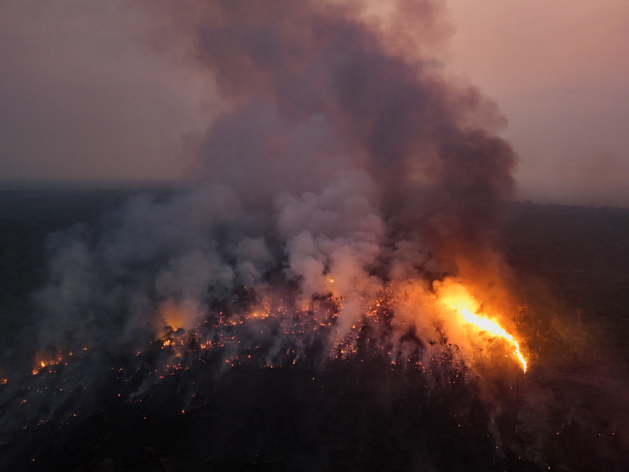 A view of the devastation caused by a forest fire in the Amazon in Labrea, Amazonas state, Brazil September 4, 2024. REUTERS/Bruno Kelly