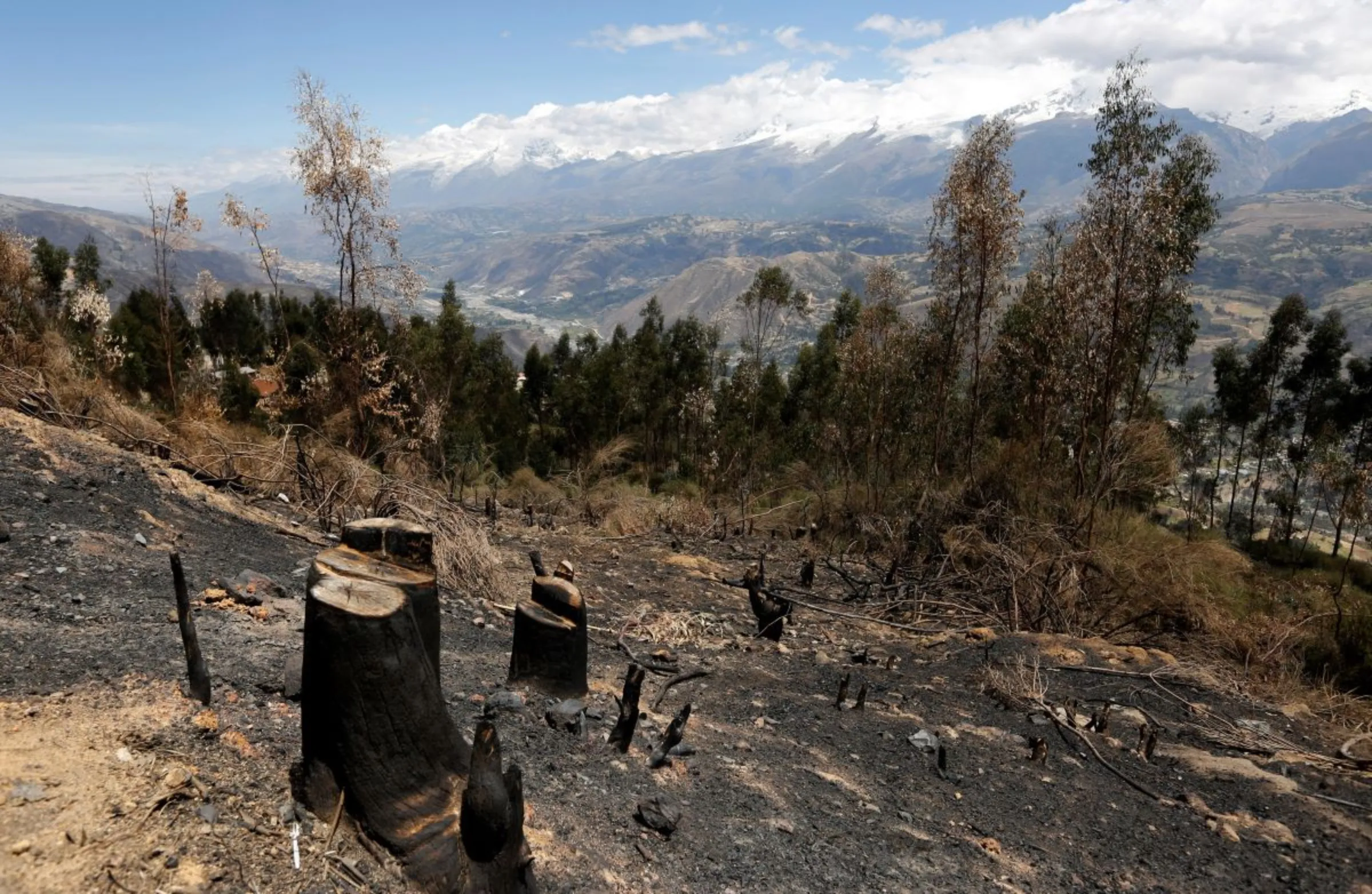 Deforestation is seen in a village in Carhuaz in the Andean region of Ancash, November 28, 2014. REUTERS/ Mariana Bazo
