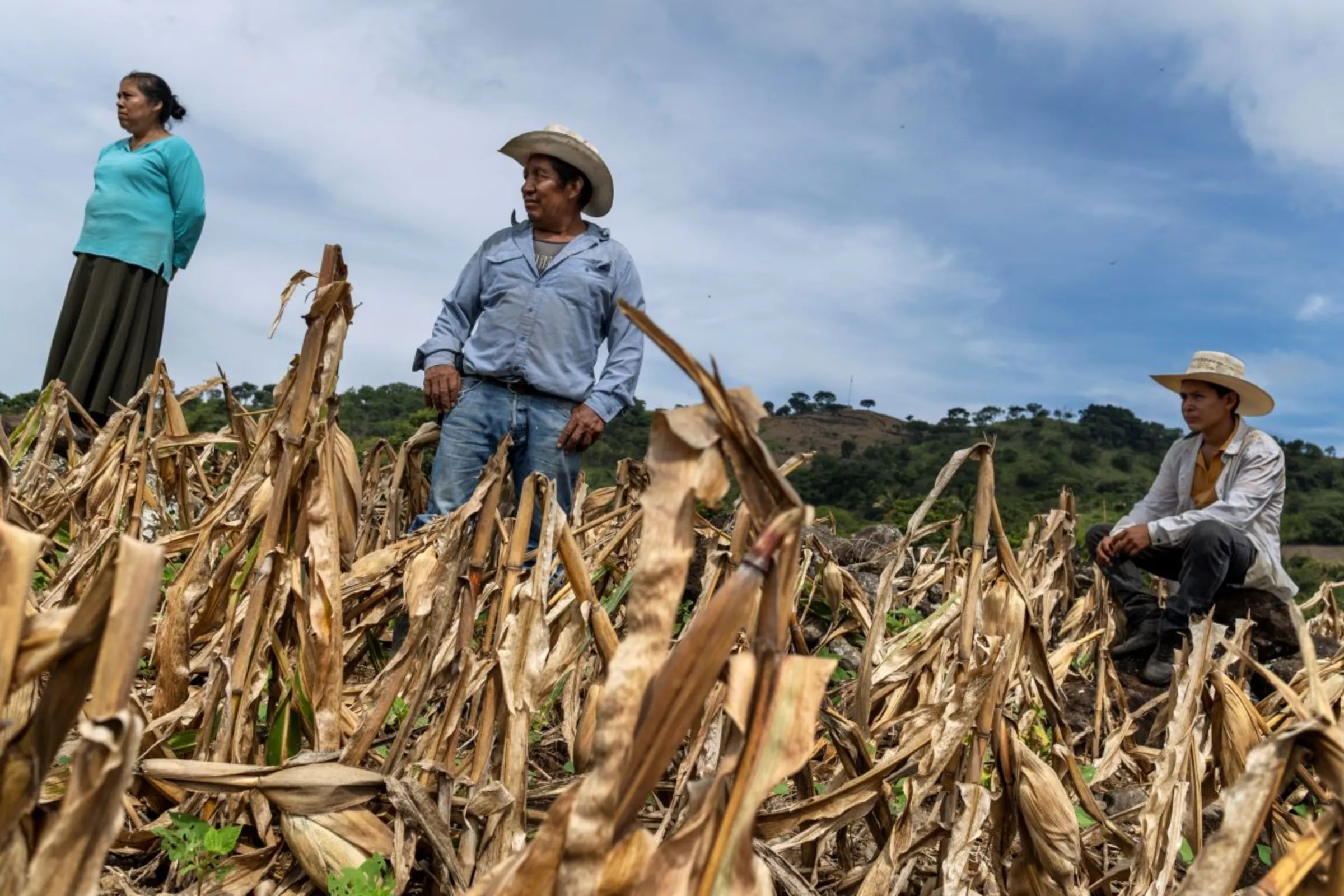 Bean farmer Amilcar Ramirez and his family stand in a field of maize and Chorti bean plants in the province of Chiquimula, Guatemala, September 6, 2023. Thomson Reuter Foundation/Fabio Cuttica
