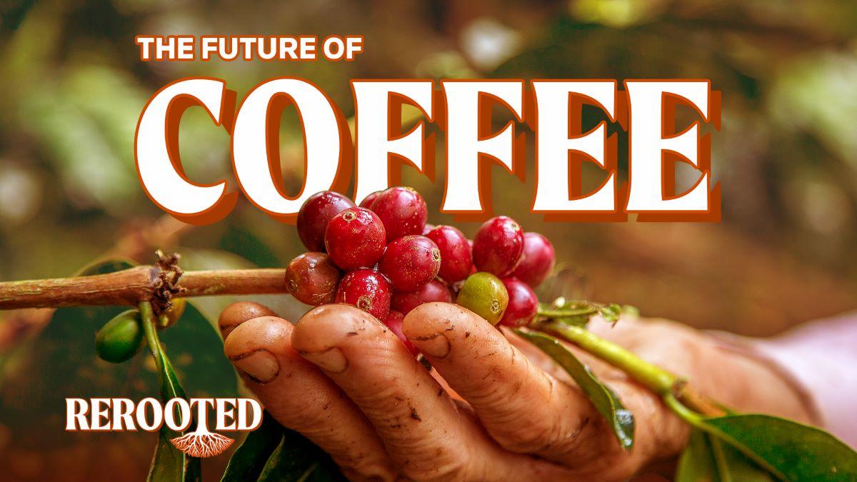 VIDEO: The bean that could save coffee from climate change