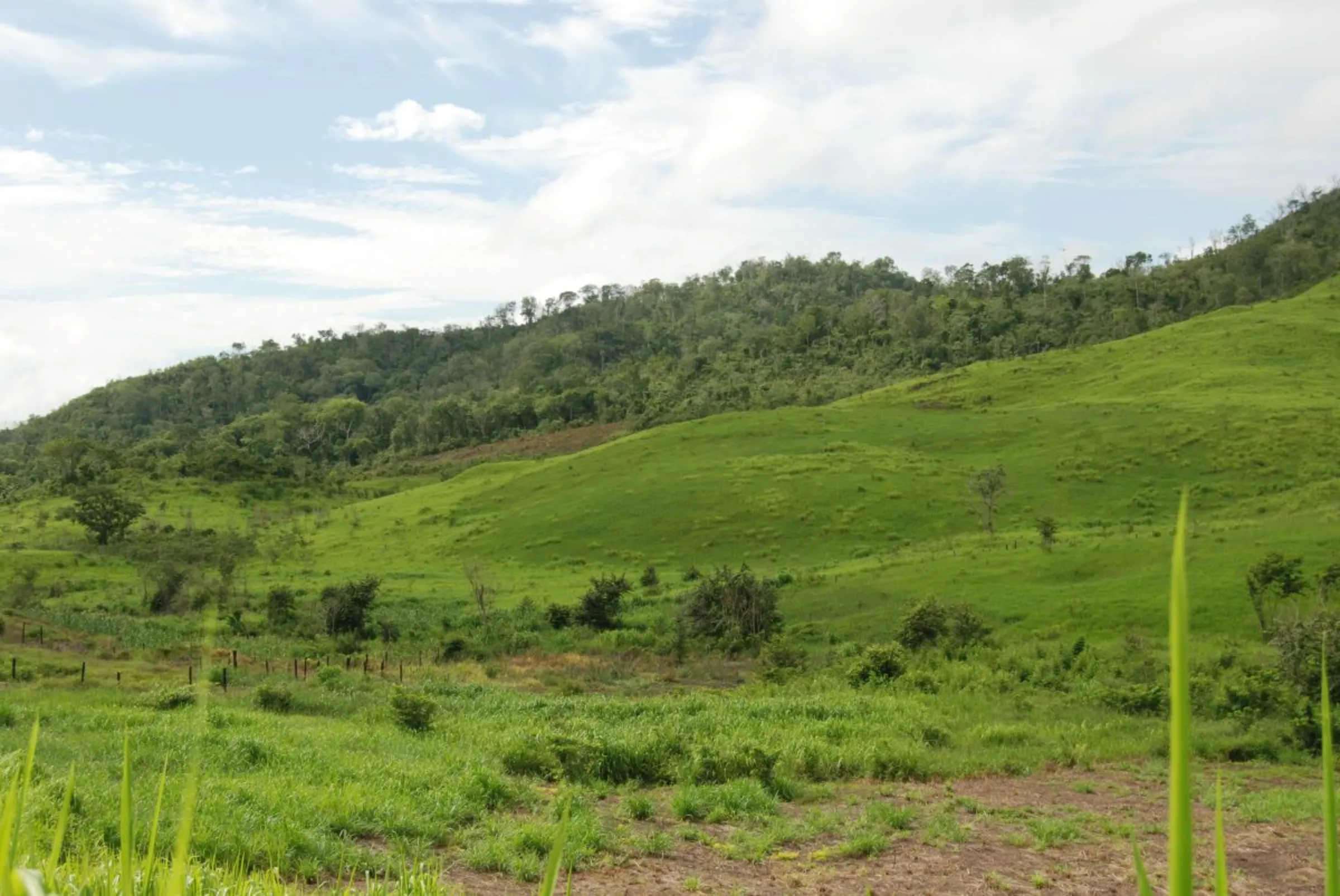 Grassland areas in the Maya Biosphere Reserve, Peten, Guatemala. September 12, 2023