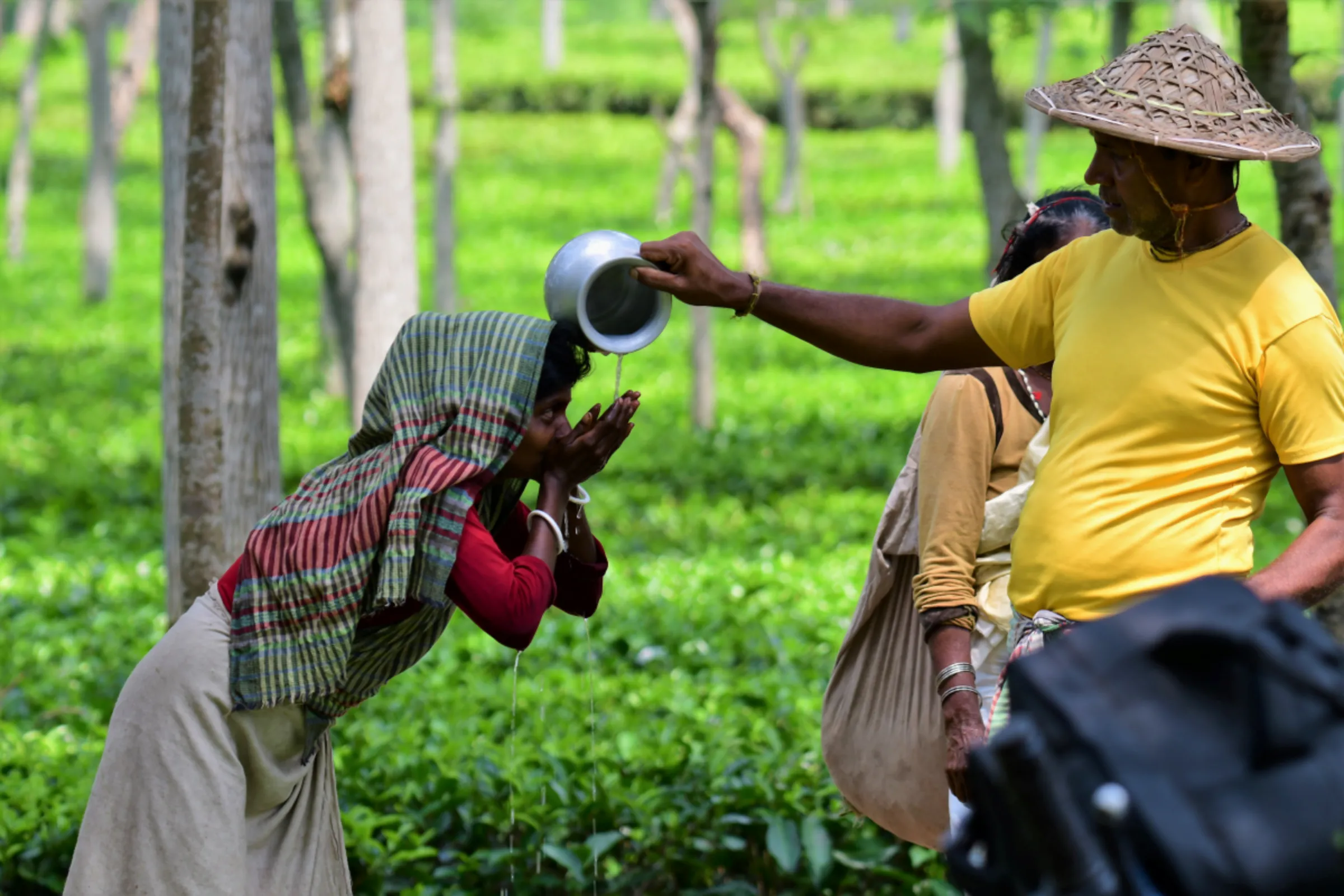 Tea picker worker Phul Kumari, 45, drinks water during hot temperatures at the Barawura, a tea estate in Sreemangal, in northeastern Bangladesh, May 27, 2023