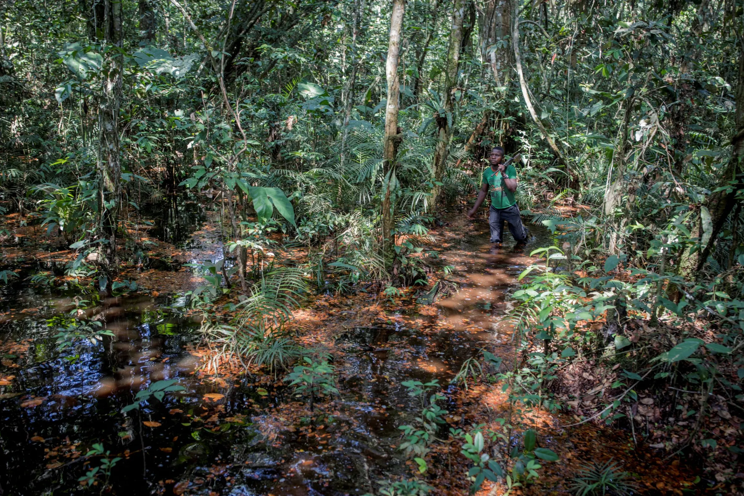 Papy walks through a swamp, looking for wildlife, as he hunts in the forest near the city of Mbandaka, Democratic Republic of the Congo, April 3, 2018. REUTERS/Thomas Nicolon