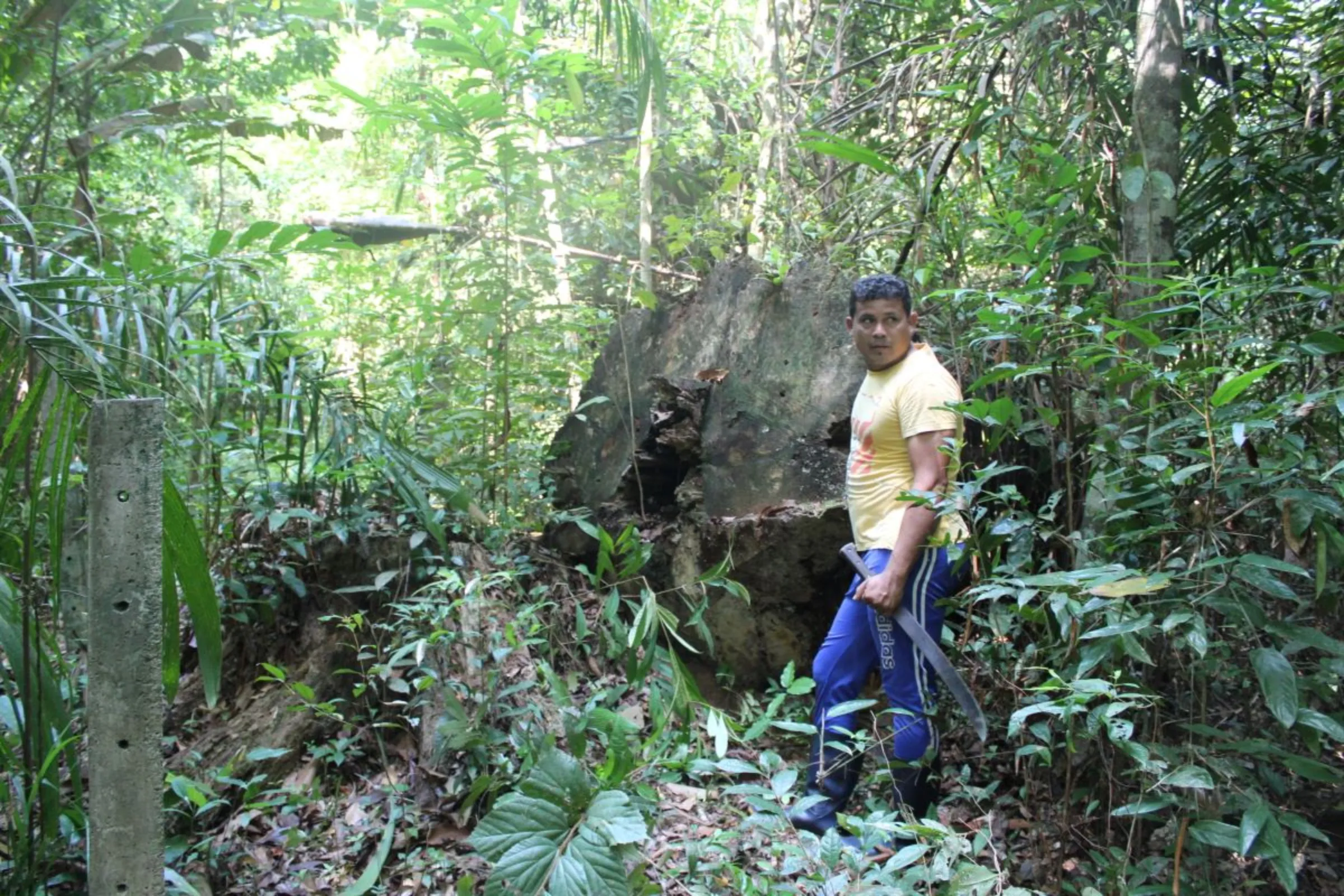 Fisherman Dil Maiko Marinho stands by a felled tree and fence poles marking an area claimed by American grain trader Cargill on in Xingu Island, Brazil. Photo taken August 12, 2023. Thomson Reuters Foundation /André Cabette Fábio