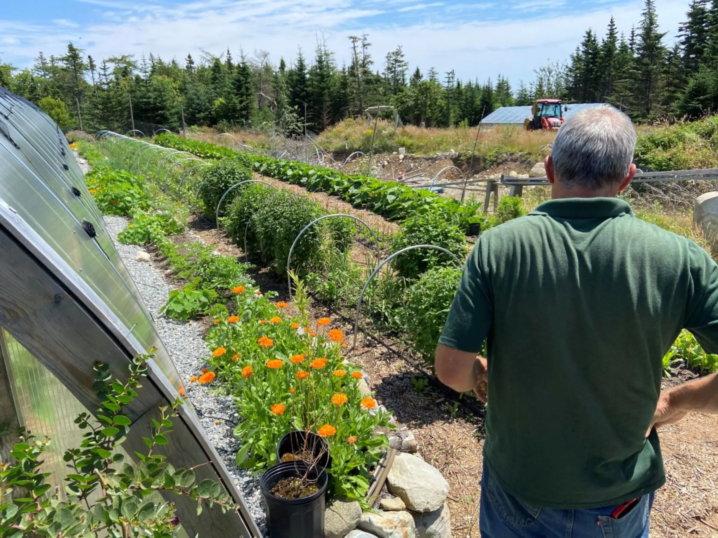 Matthew Roy, owner of Coastal Grove Farm, is pictured near a greenhouse at the farm in Nova Scotia, Canada, July 24, 2023