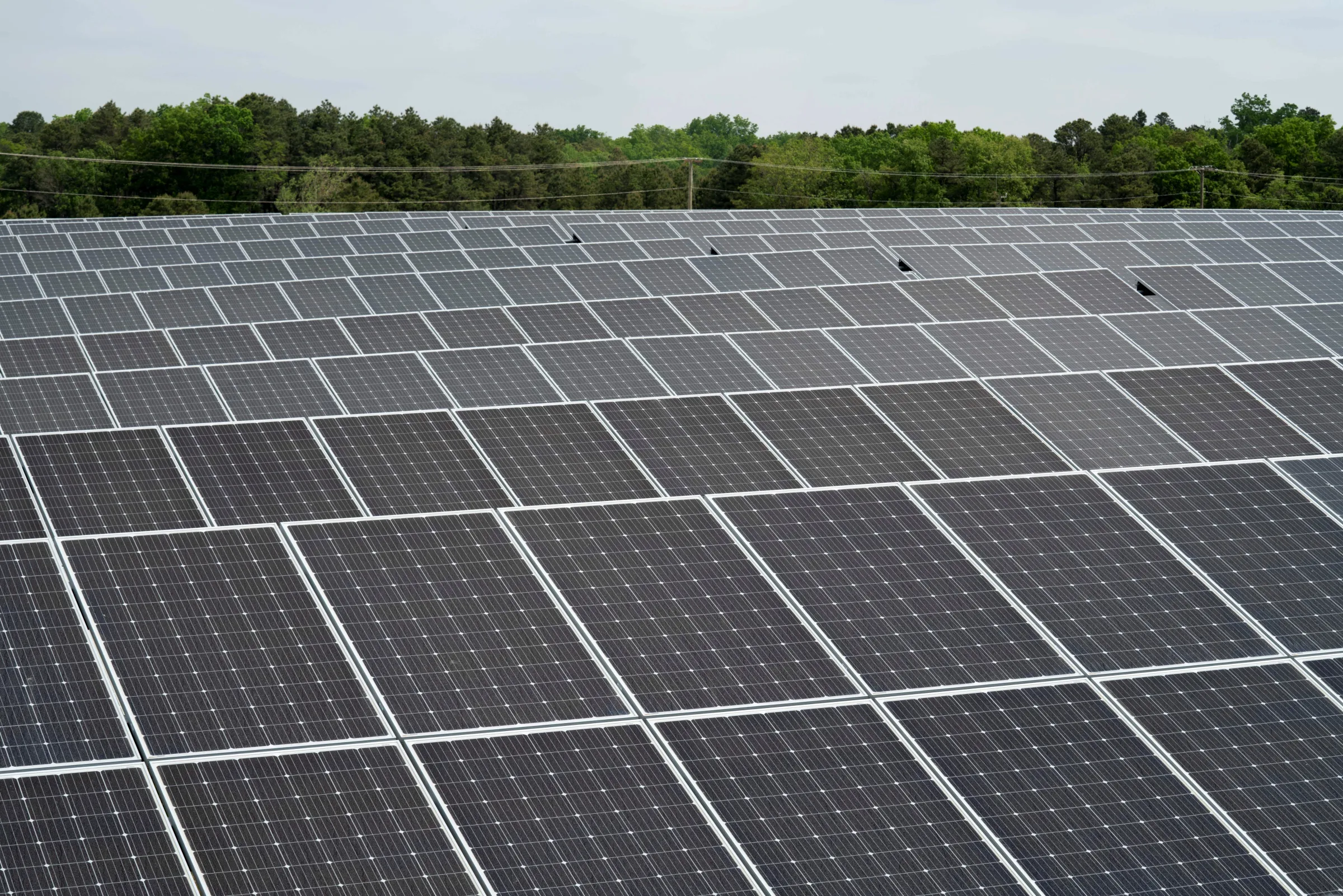 Rows of solar panels