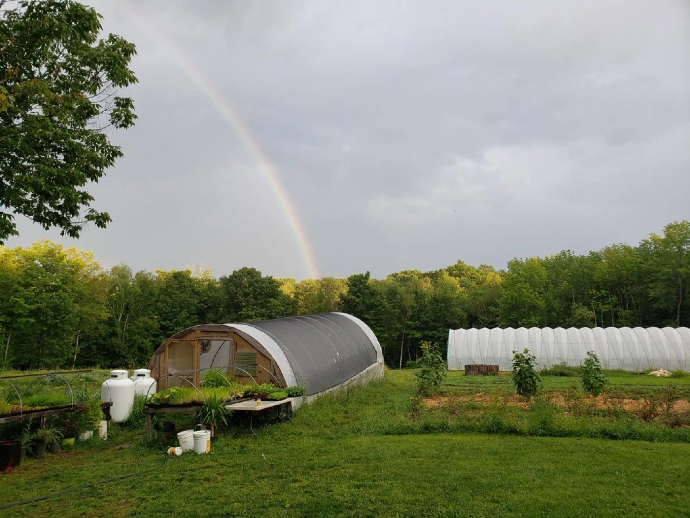 Rainbow over Soul Fire Farm, New York.