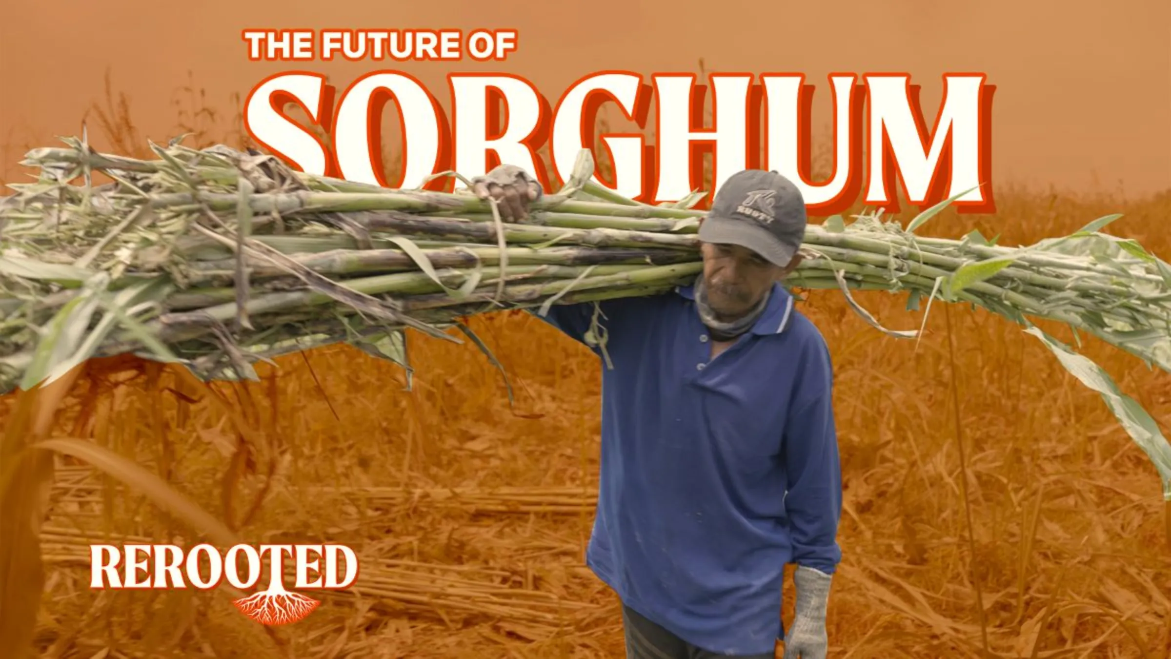 A man carries sorghum over his shoulder in this graphic for a Context original video. Thomson Reuters Foundation/Albert Han