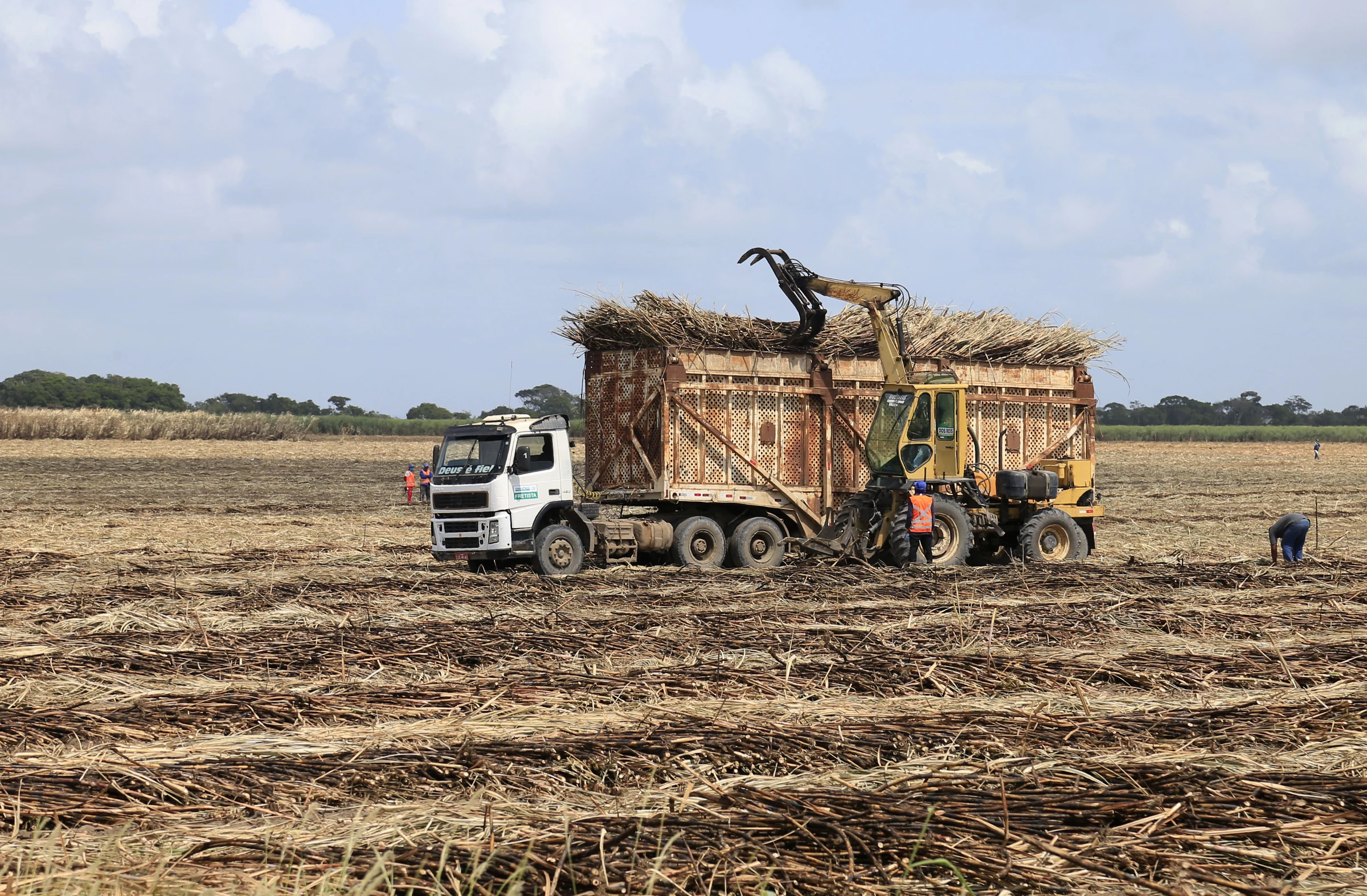 Machinery collects sugarcane harvested by workers in a plantation near Maceio, Brazil, on September 27, 2021. Thomson Reuters Foundation/Ailton Cruz