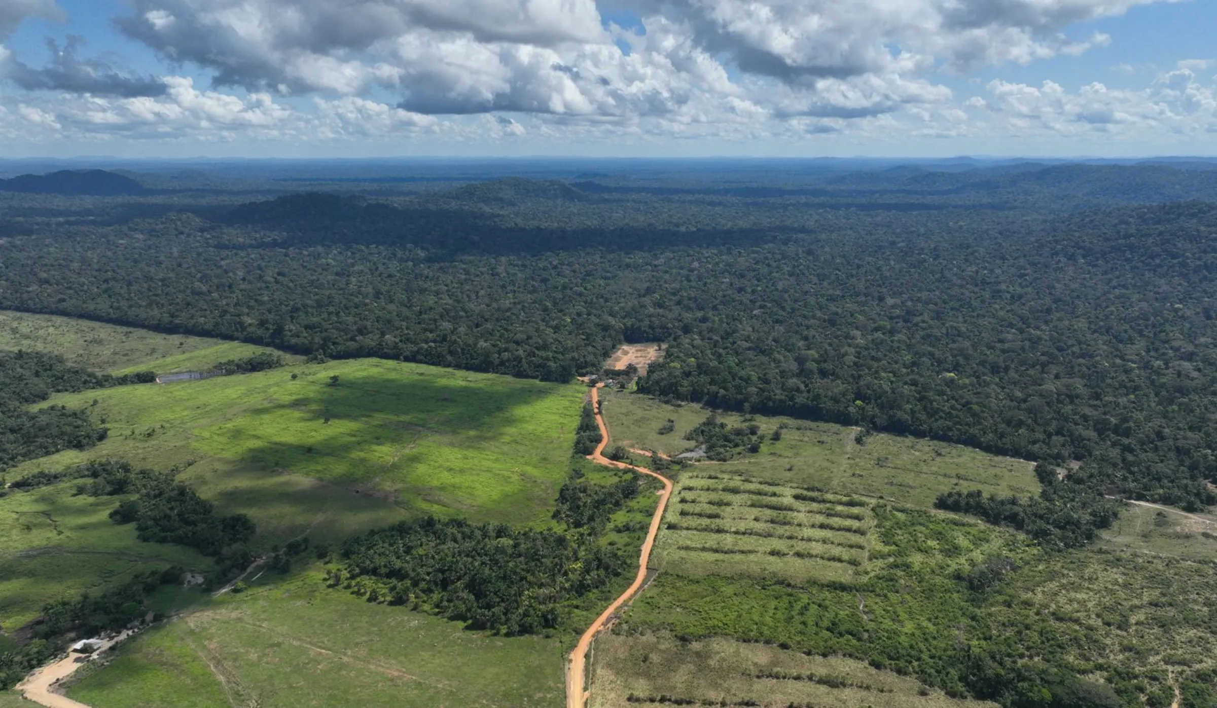Still from multimedia: Aerial view of rainforest in Brazil