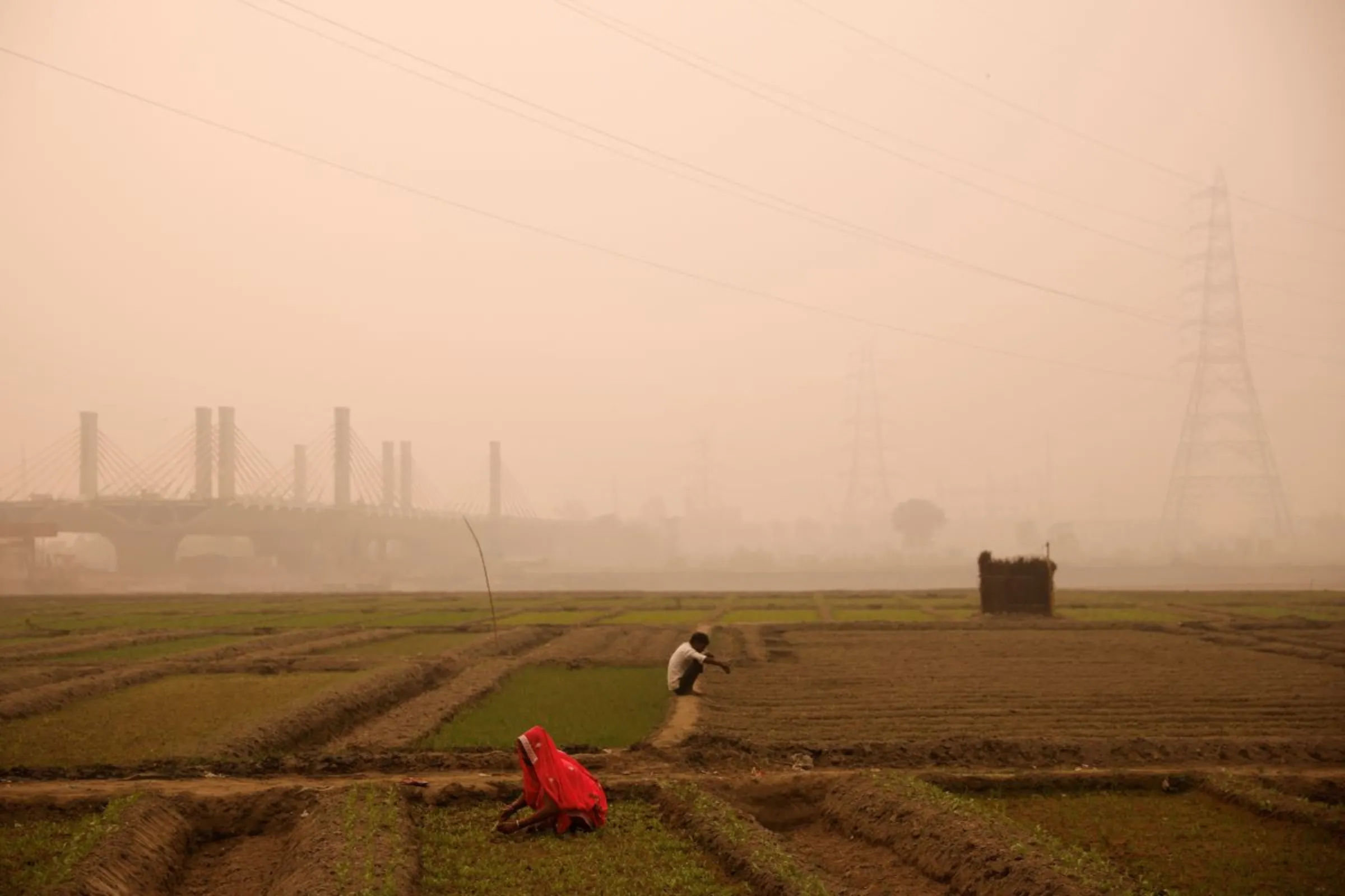 Farmers work amidst smog in a field on the bank of the Yamuna river in New Delhi, India, November 8, 2022.