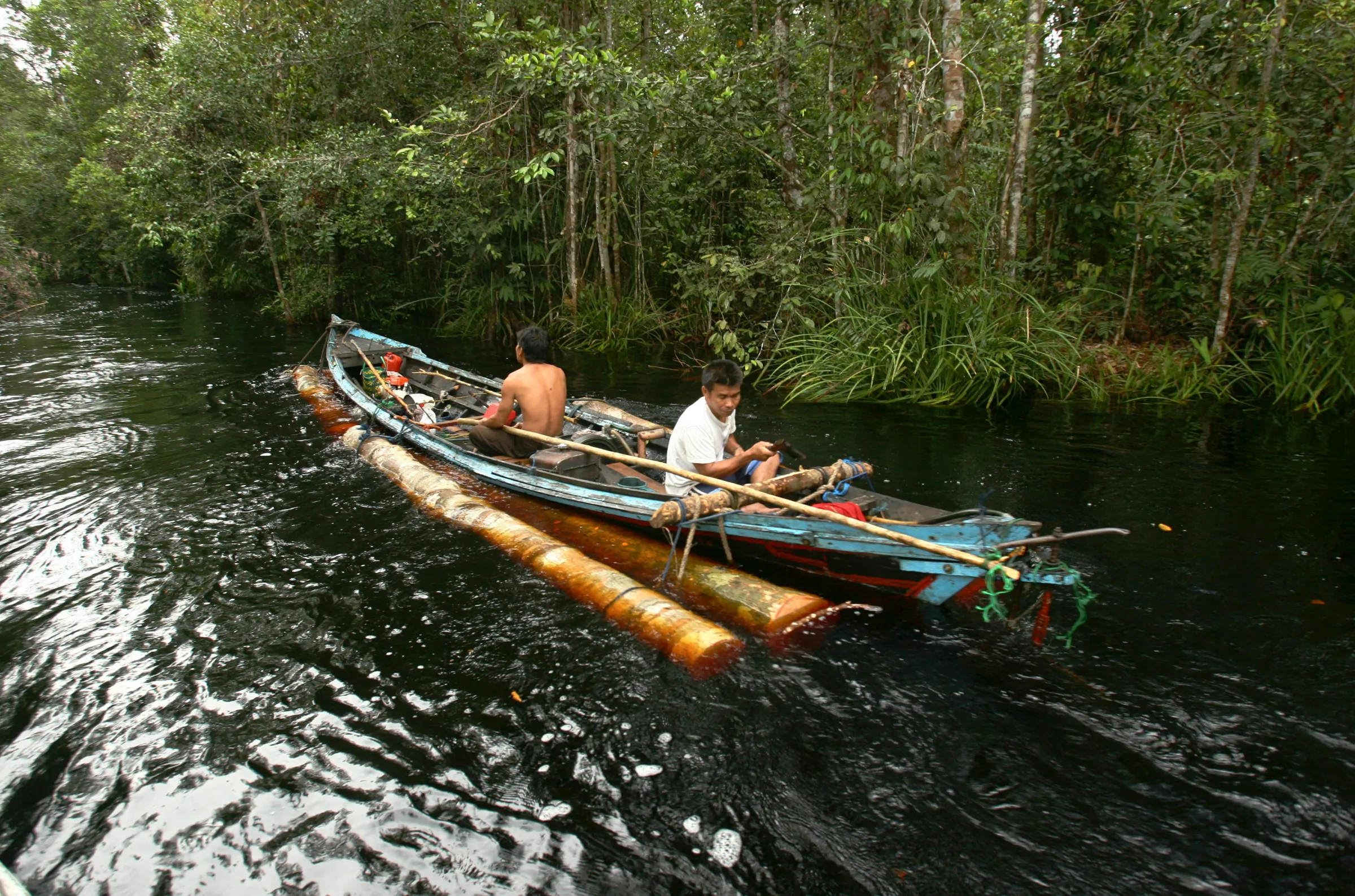 Illegal loggers remove timber along a river in a forest south of Sampit in Indonesia's Central Kalimantan province November 13, 2010