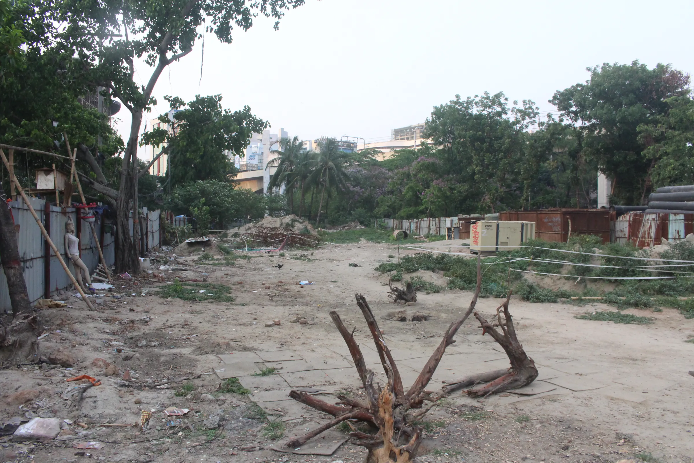 Only dead stumps remain after trees have been cleared from most of the Panthakunja Park, , Dhaka, Bangladesh, April 26, 2025. Md. Tahmid Zami/ Thomson Reuters Foundation