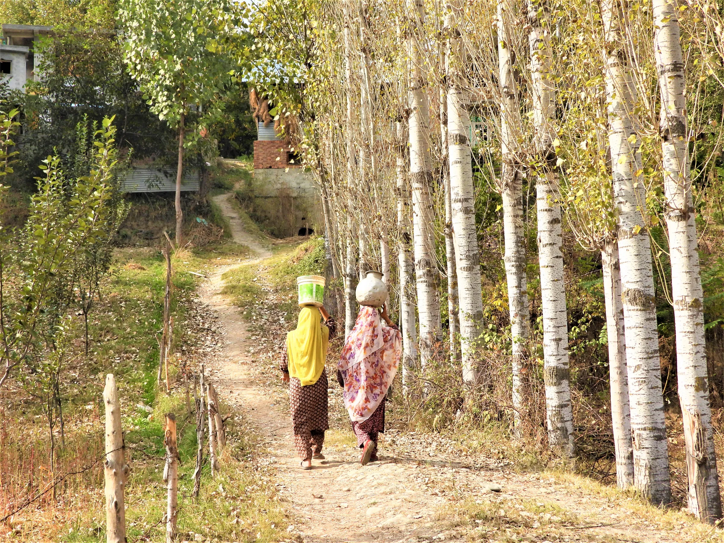 Women carry water as they walk through Chendargund village, in the Kashmir Himalayas, India, October 12, 2022