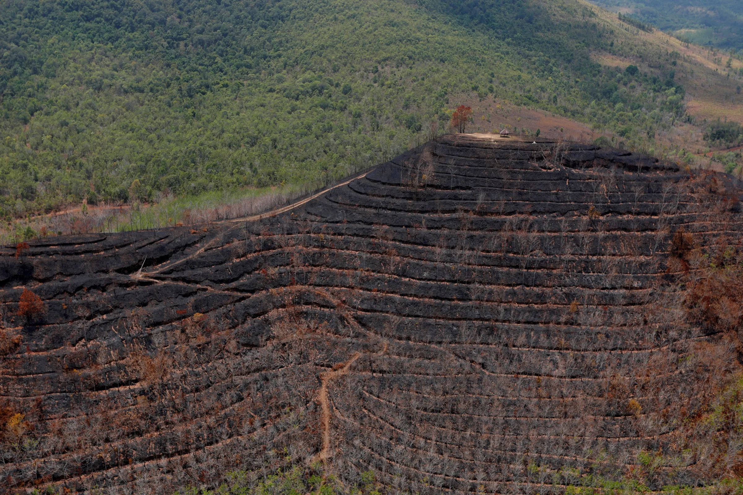 Burnt land is pictured after fires near Banjarmasin in South Kalimantan province, Indonesia, September 29, 2019. REUTERS/Willy