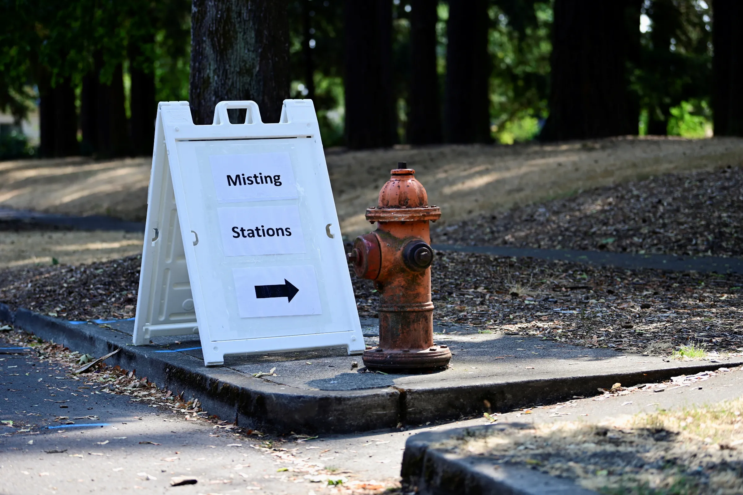 A sign sits near a fire hydrant at the entrance to Mt Scott park