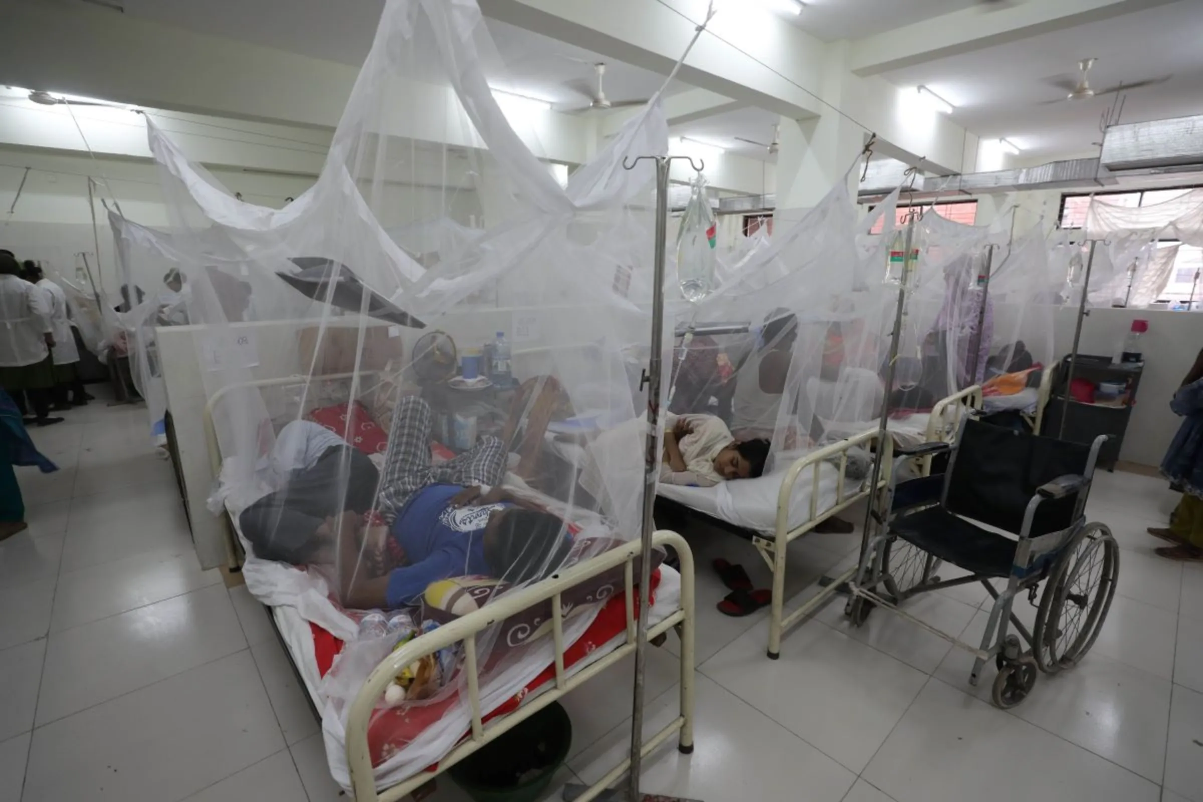 Dengue patients are protected with mosquito nets inside the dengue wards at the Shaheed Suhrawardy Medical College, Dhaka, ‎August ‎30, ‎2023