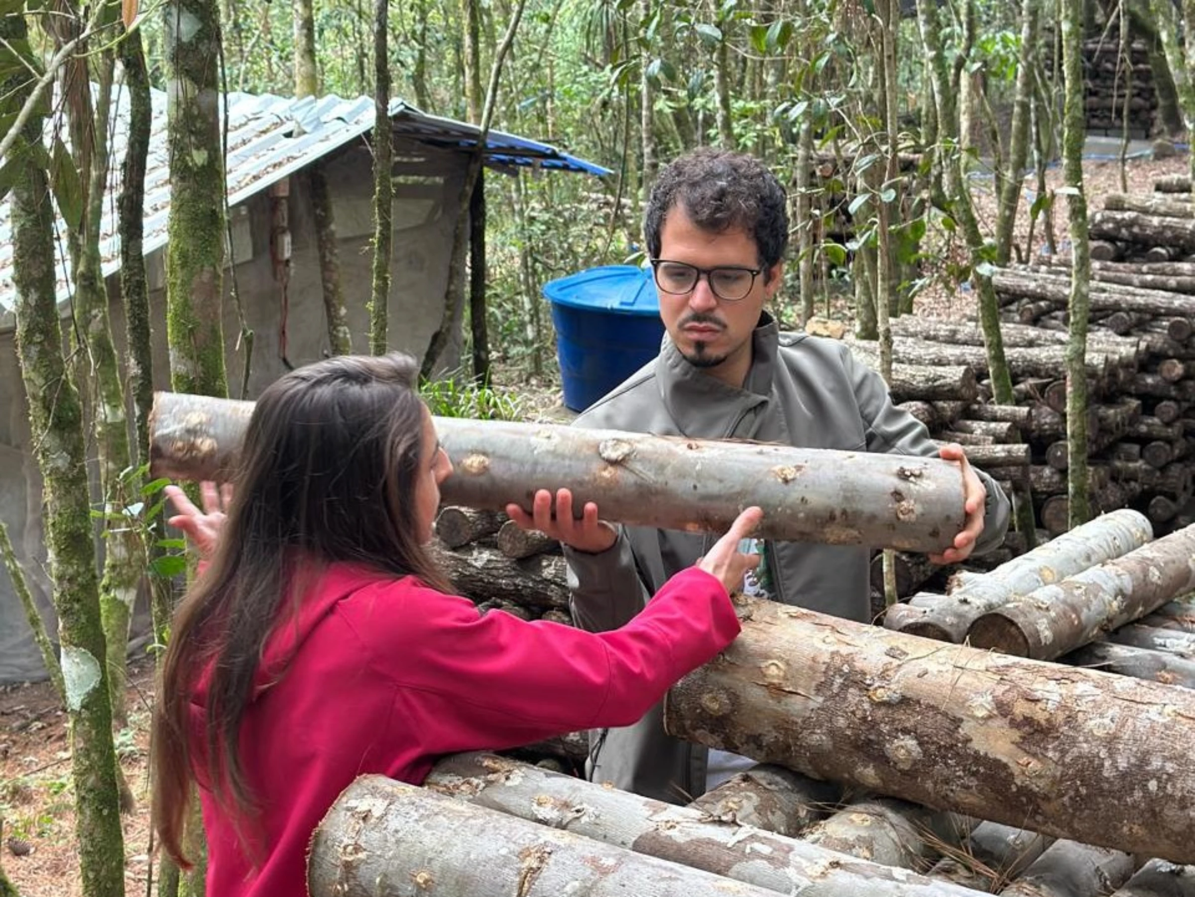 Thales Bevilacqua Mendonça and his partner Karina Gonçalves David on their farm ProNobis Agroflorestal in Brazil's Parana state. Thales Bevilacqua Mendonça/Handout via 
