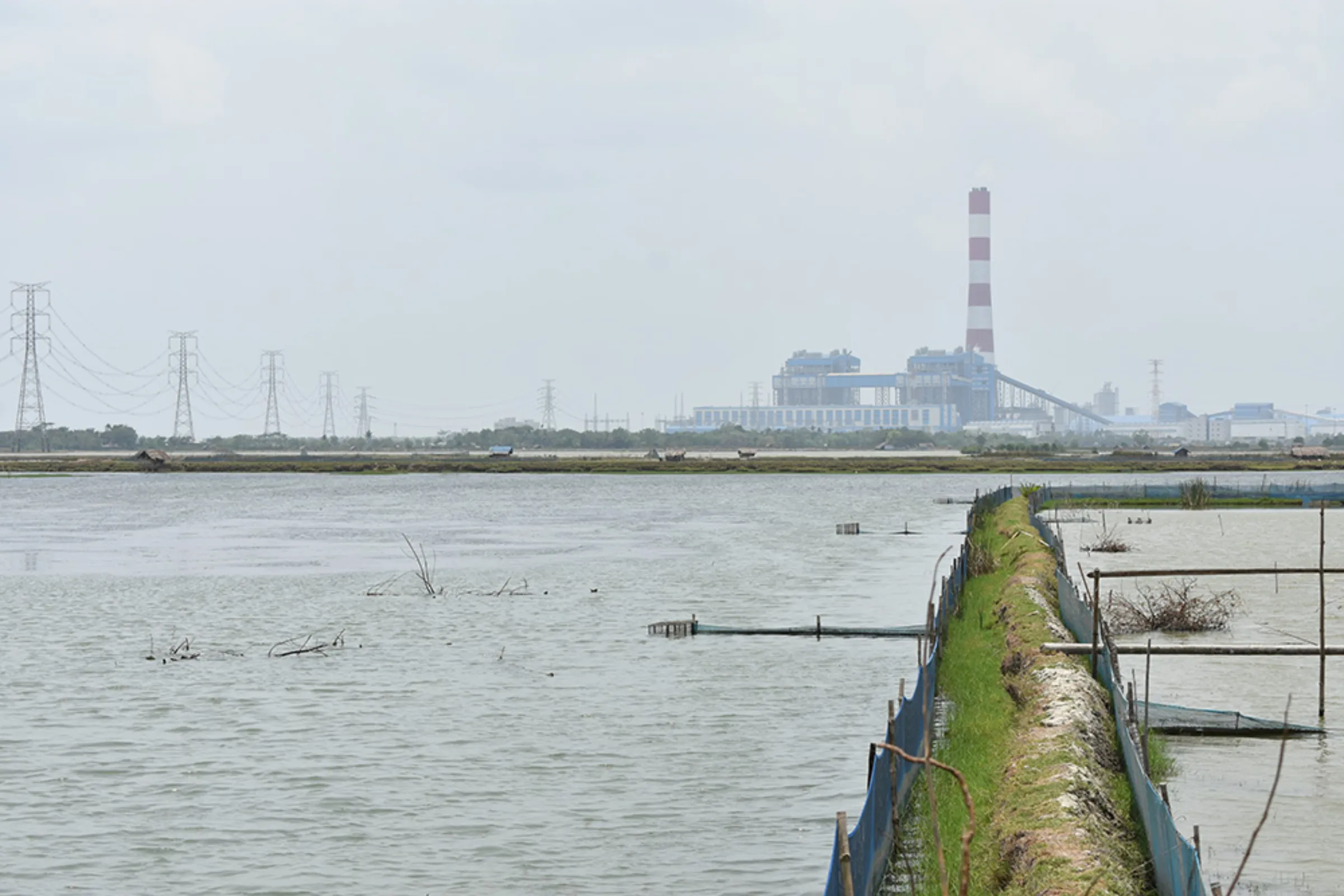 Commercial-scale shrimp farms lie adjacent to Rita Bashar’s farmstead, contributing to her soil salinity. May 6, 2024. Rachel Parsons/ Thomson Reuters Foundation