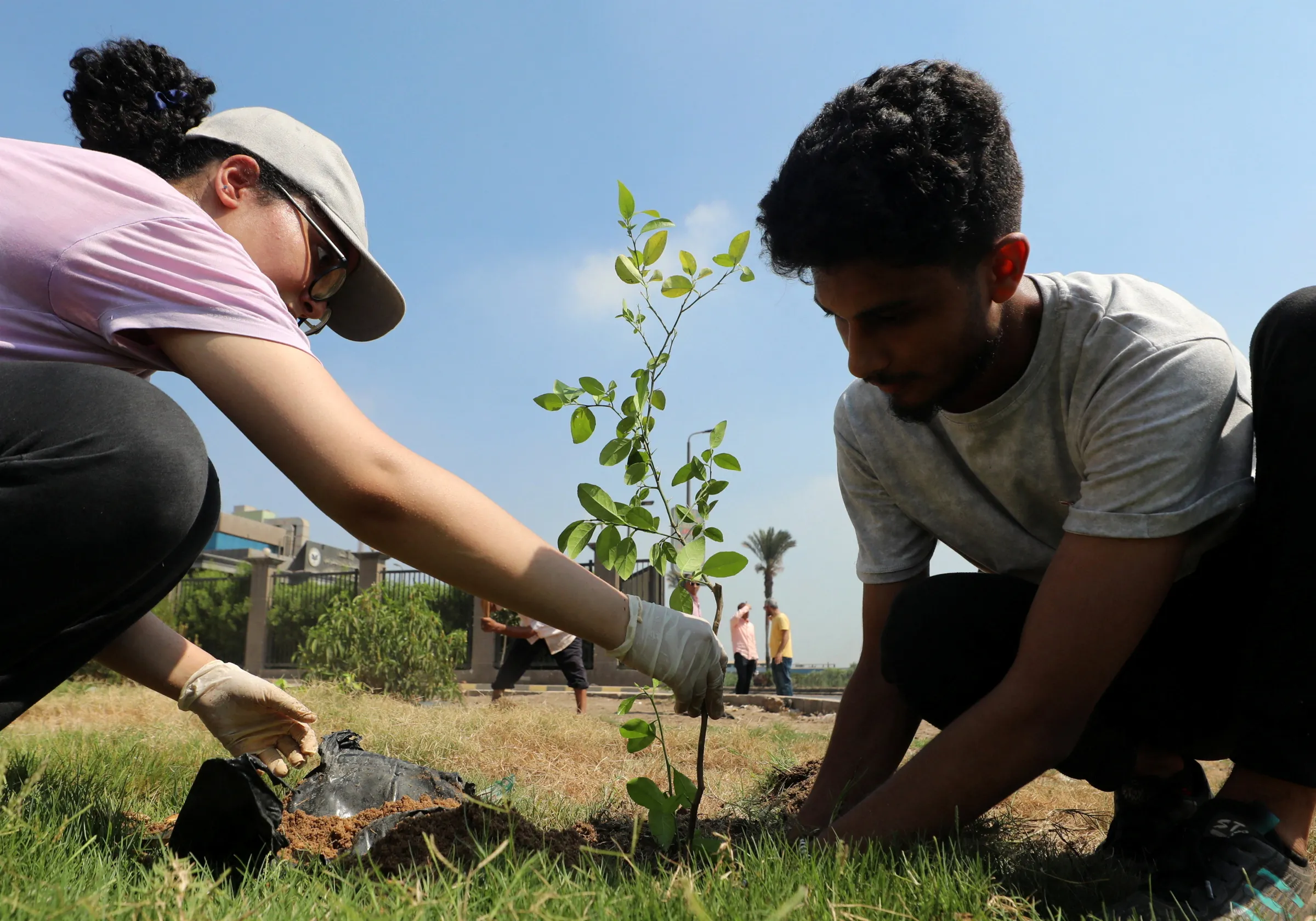 Egyptian volunteers plant a tree for an environmental project named 'Shagrha' meaning 'Plant it' in Arabic, at Mit Ghamr village in Dakahlia Governorate northeast of the Nile Delta, Egypt, July 1, 2024. REUTERS/Mohamed Abd El Ghany