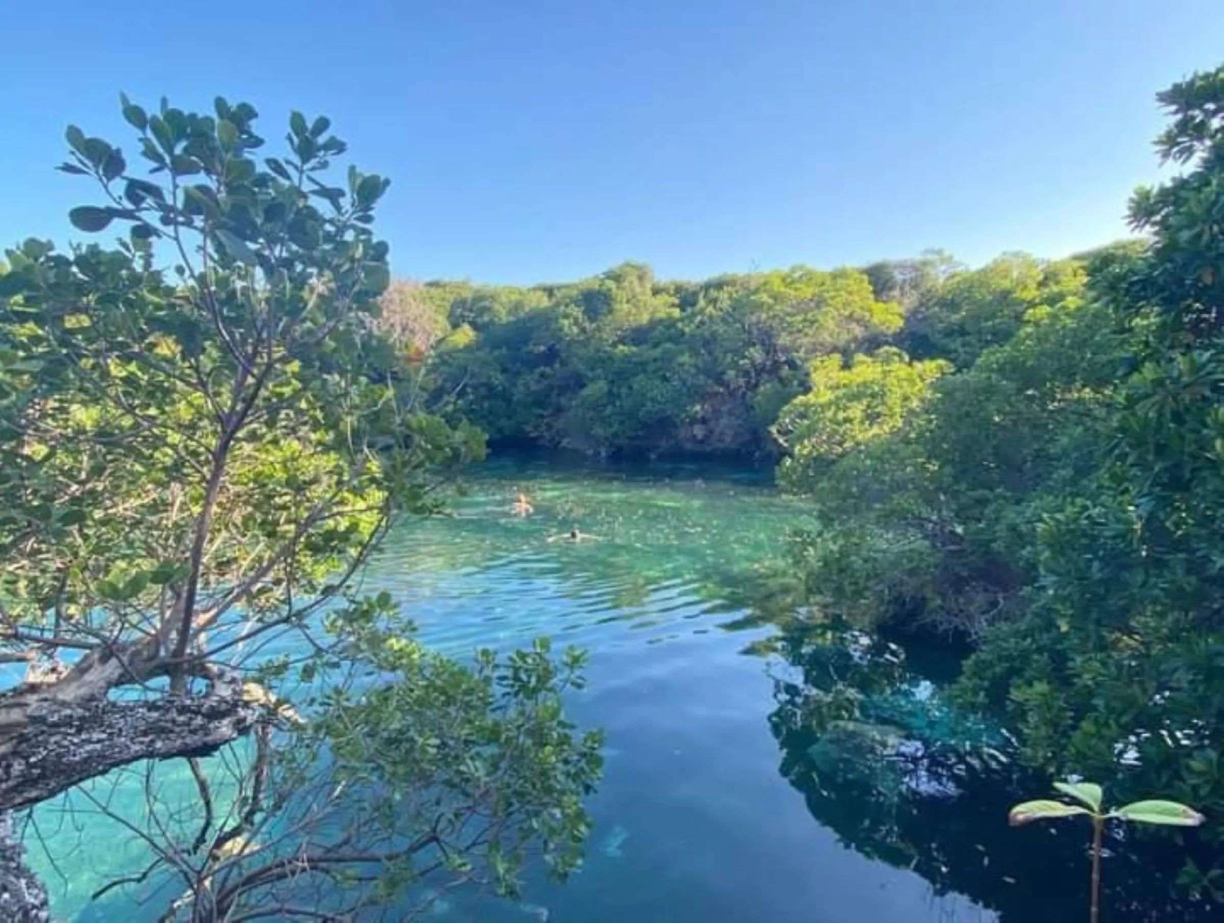 The blue lagoon on Tanzania's Mafia Island in the Indian Ocean is a pool of water surrounded by emissions-absorbing mangroves