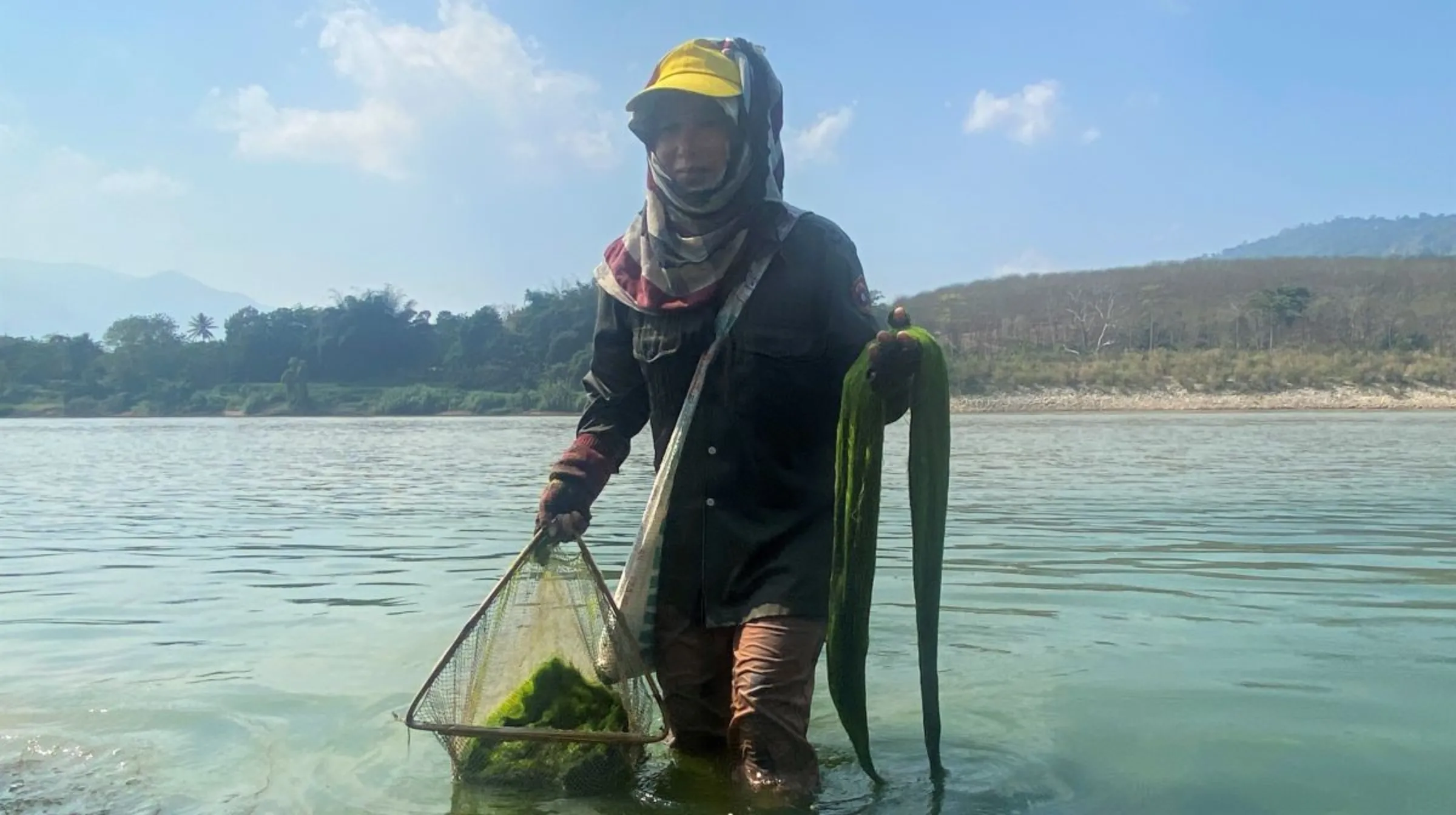 Kam Thon harvests river weed, or khai, in the Mekong River along the Thai-Laos border. February 6, 2023. Thomson Reuters Foundation/Rina Chandran