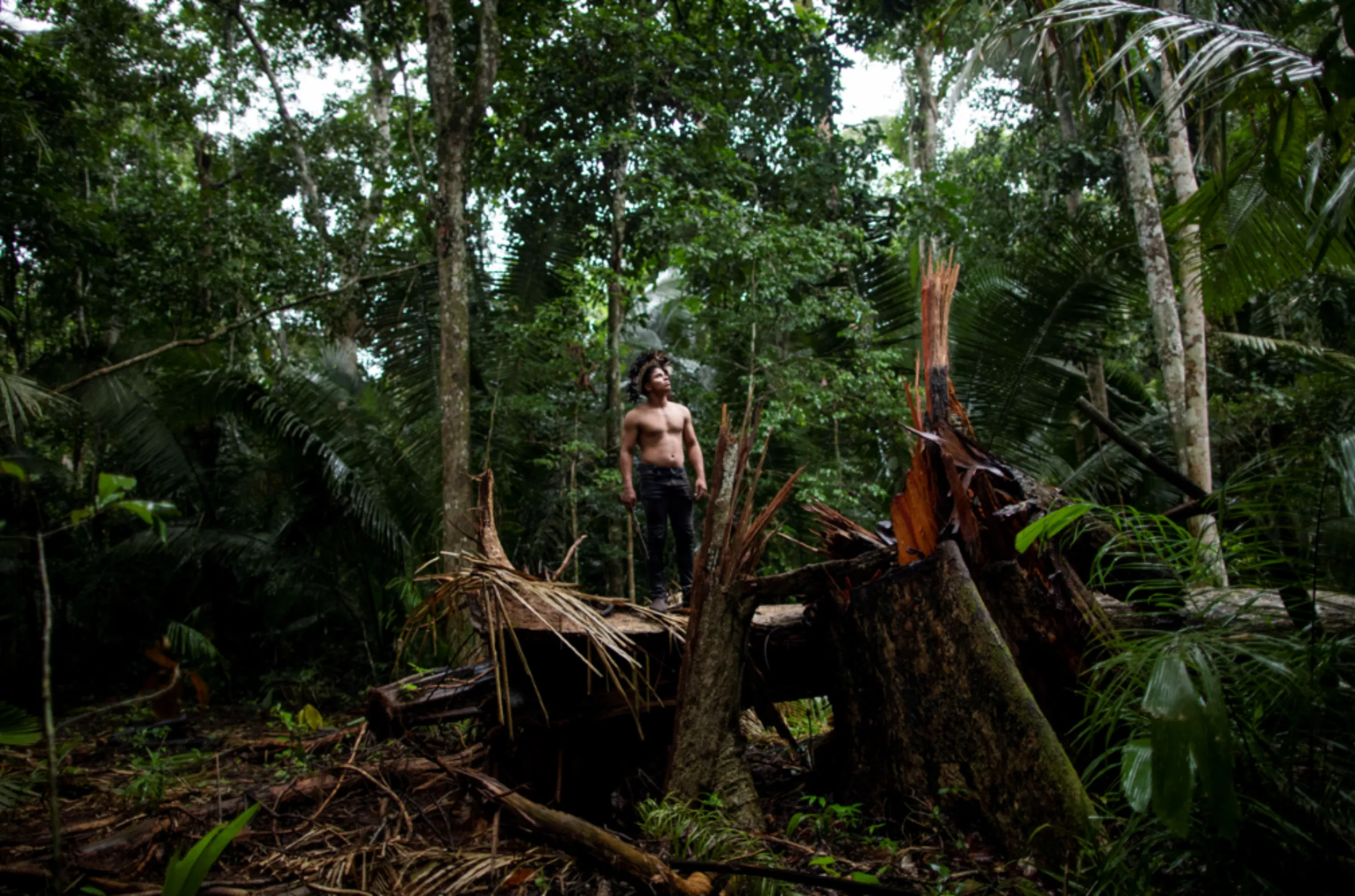 An indigenous man looks on in an area deforested by invaders in the village of Alto Jaru, at the Uru-eu-wau-wau Indigenous Reservation near Campo Novo de Rondonia, Brazil February 1, 2019