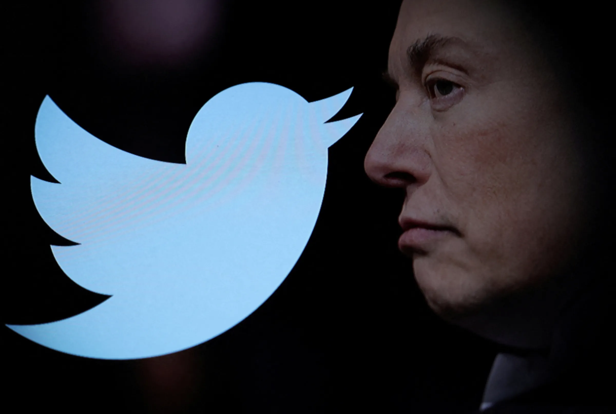 Twitter logo and a photo of Elon Musk are displayed through magnifier in this illustration taken October 27, 2022