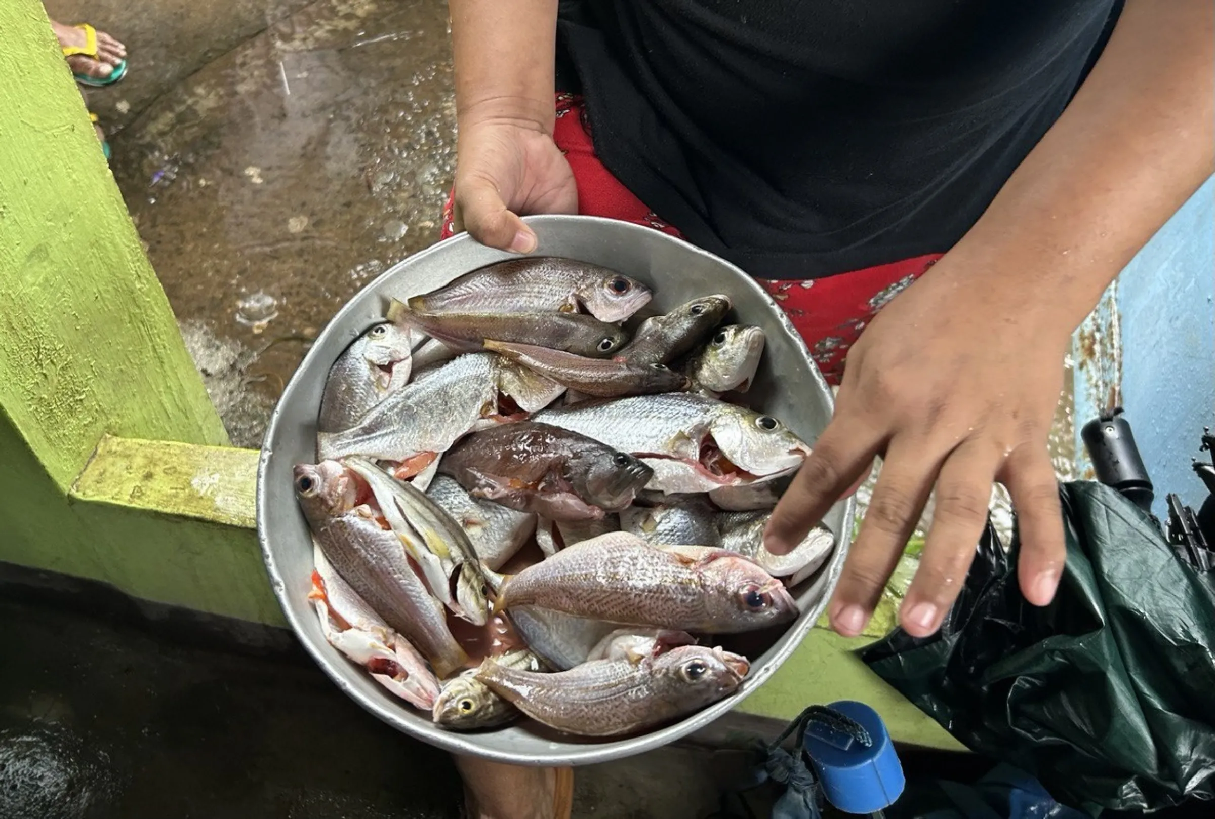 Fish vendor Veronica Roque holds a tub of freshly caught fish from Manila Bay on Sept. 4 in Limay town in Bataan, Philippines. Mariejo Ramos/Thomson Reuters Foundation