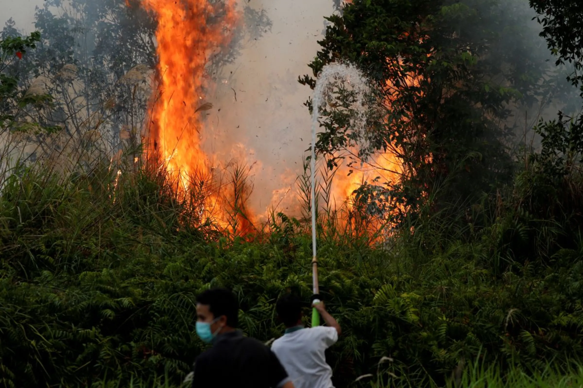 Volunteer firefighters try to extinguish fires at a peatland forest in Pulang Pisau regency near Palangka Raya, Central Kalimantan province, Indonesia, September 13, 2019. REUTERS/Willy Kurniawan