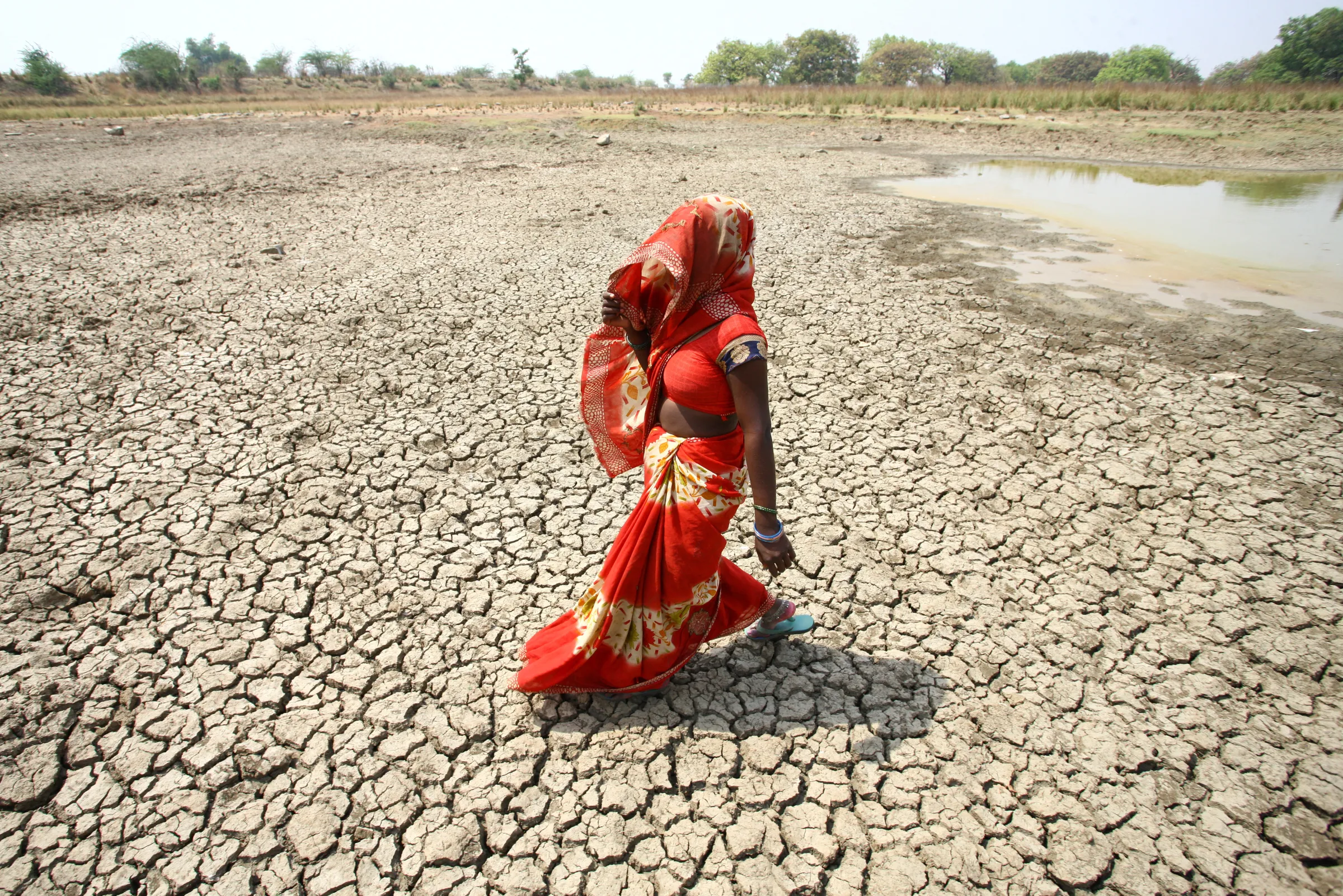 A woman walks on the bottom of a dried pond on a hot day in Mauharia village in the northern state of Uttar Pradesh, India, May 4, 2022