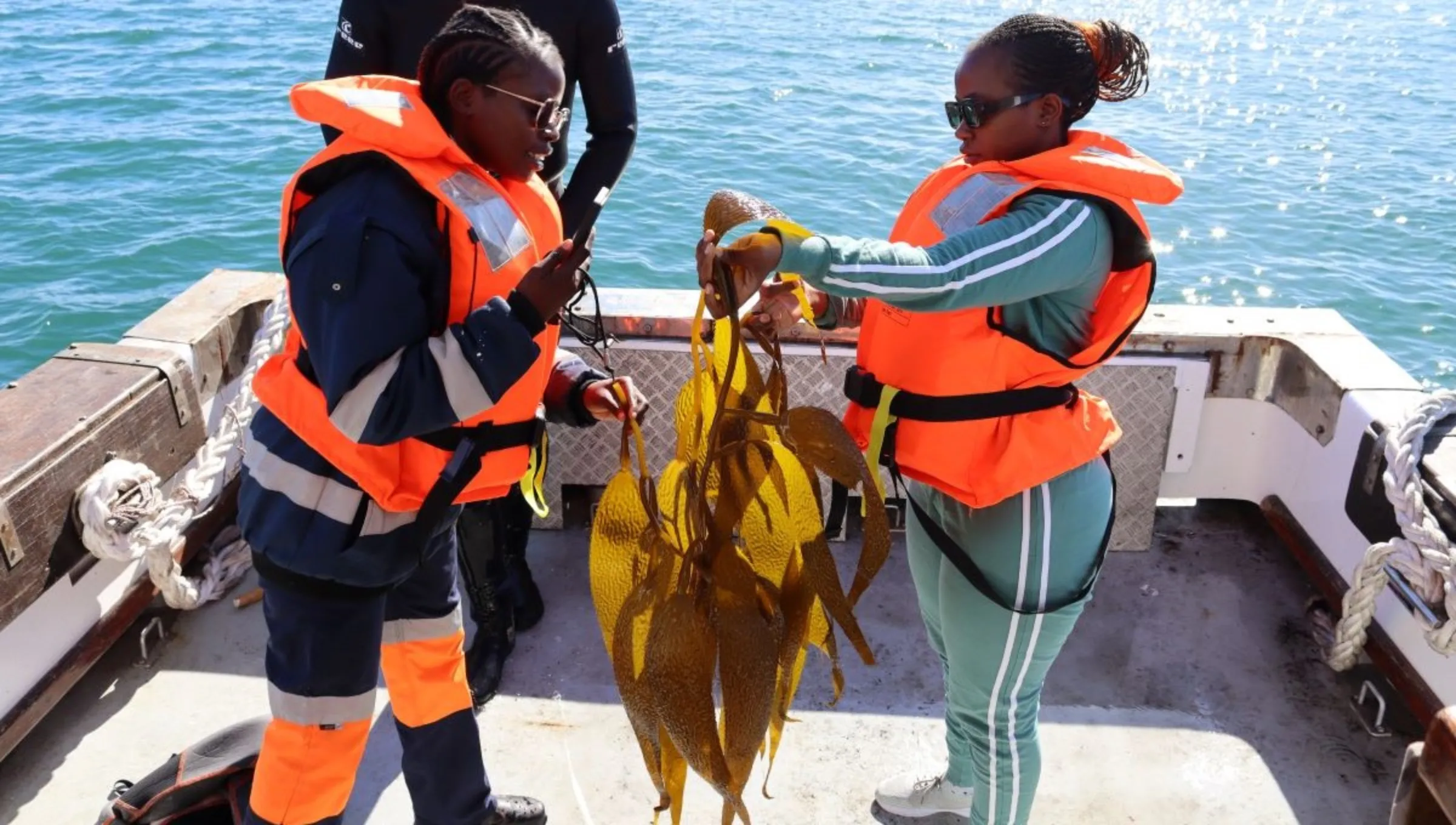 Giant kelp grown in one of Kelp Blue's experimental kelp forests in Shearwater Bay in Lüderitz in ǁKaras region, Namibia, April 23, 2023. Thomson Reuters Foundation/Lisa Ossenbrink