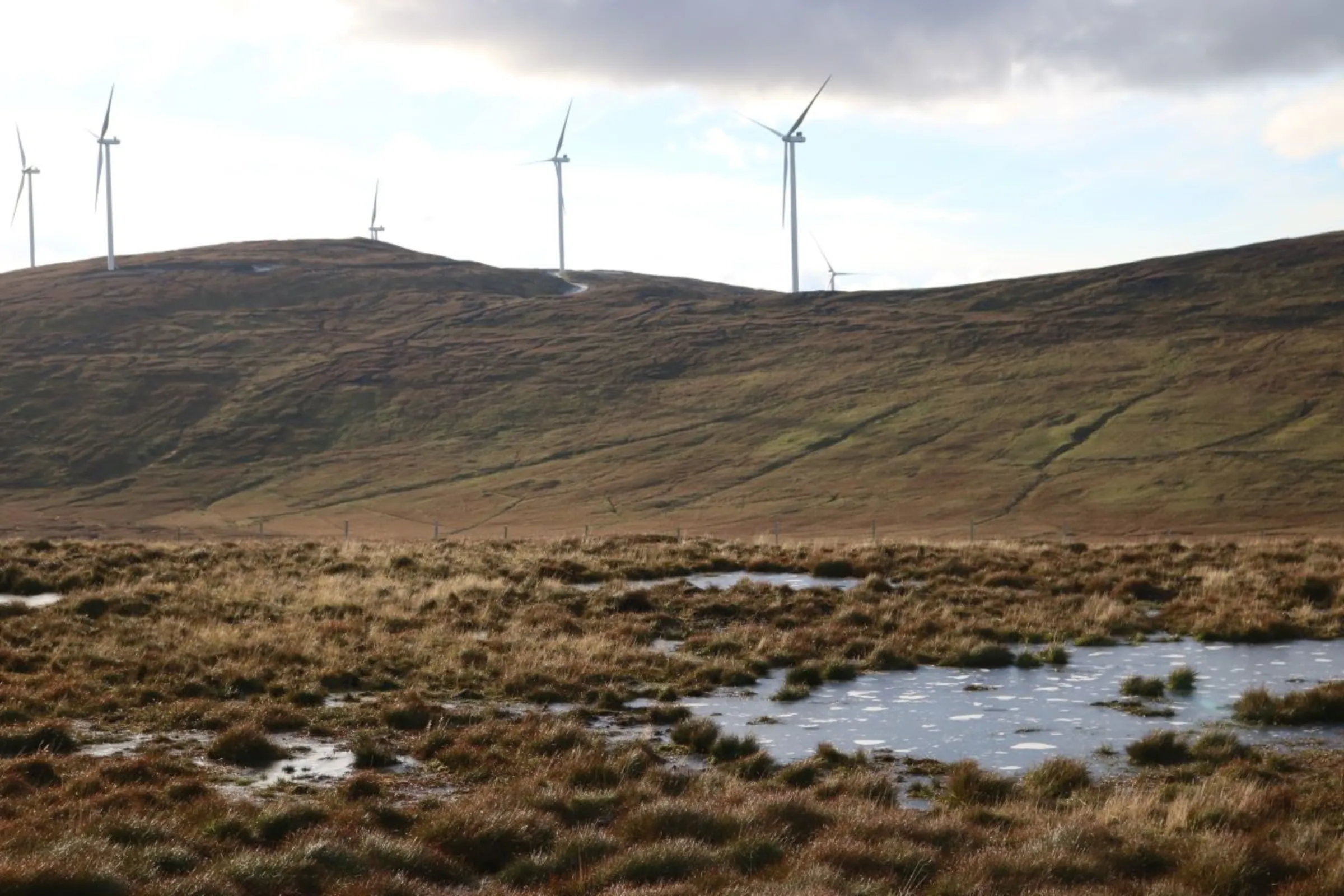 The onshore wind farm of Viking Energy, set to have the largest output in Britain when it comes online in 2024, overlooks a peatland restoration site run by the company, in the centre of Mainland island, Shetland, Scotland, November 1, 2023. Thomson Reuters Foundation/Jack Graham
