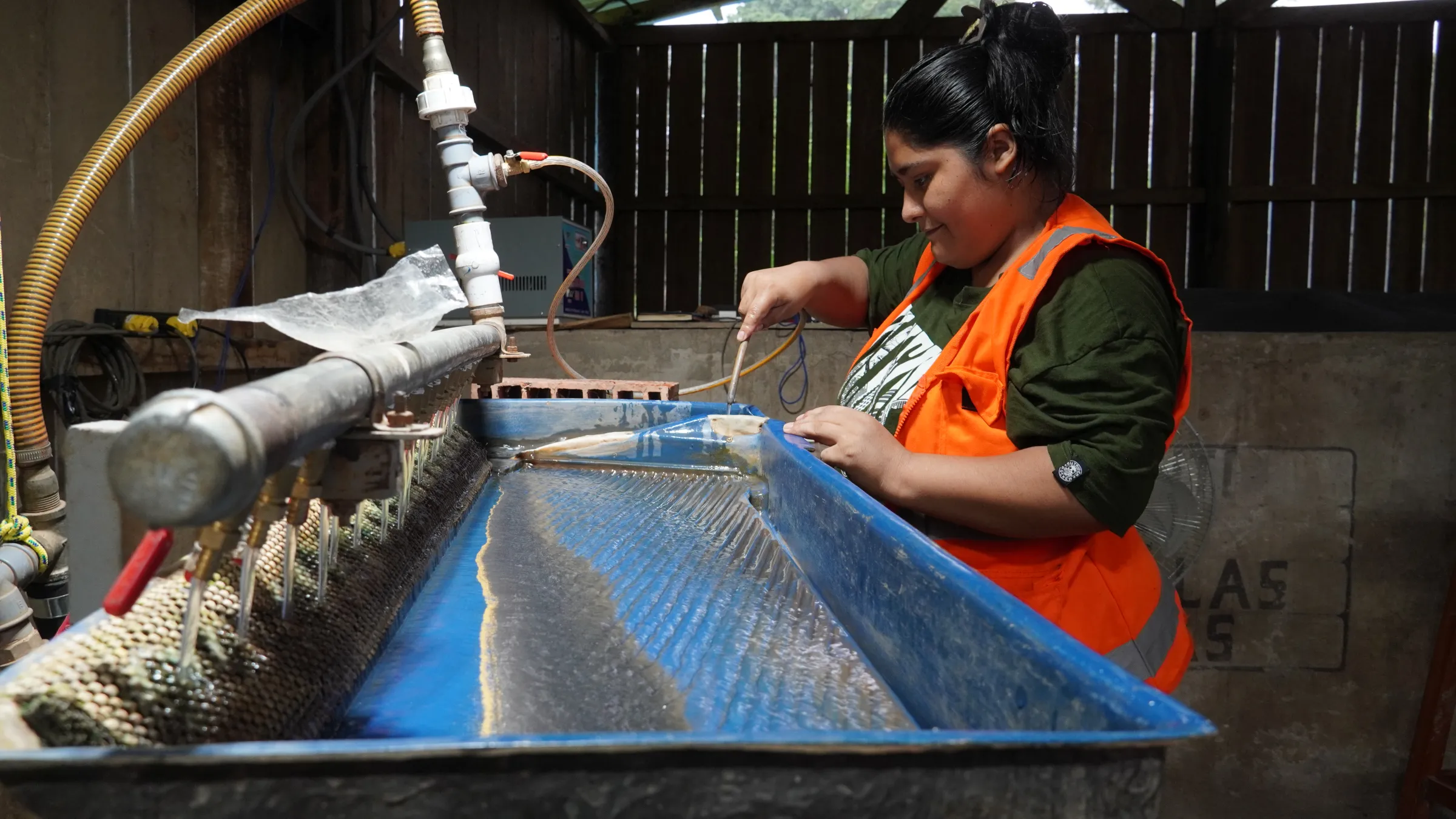 Isabel Chua, 25, operates a shaking table in Laberinto, Madre de Dios, Peru. Thomson Reuters Foundation/Dan Collyns