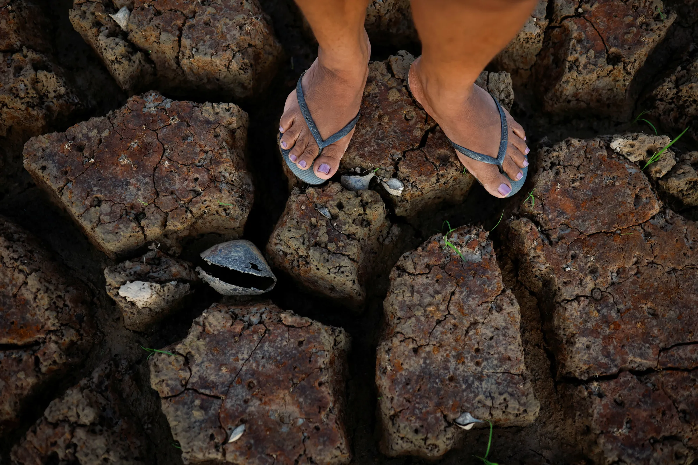 Intense drought hits community at Tapajos river at the Amazon, in Belterra