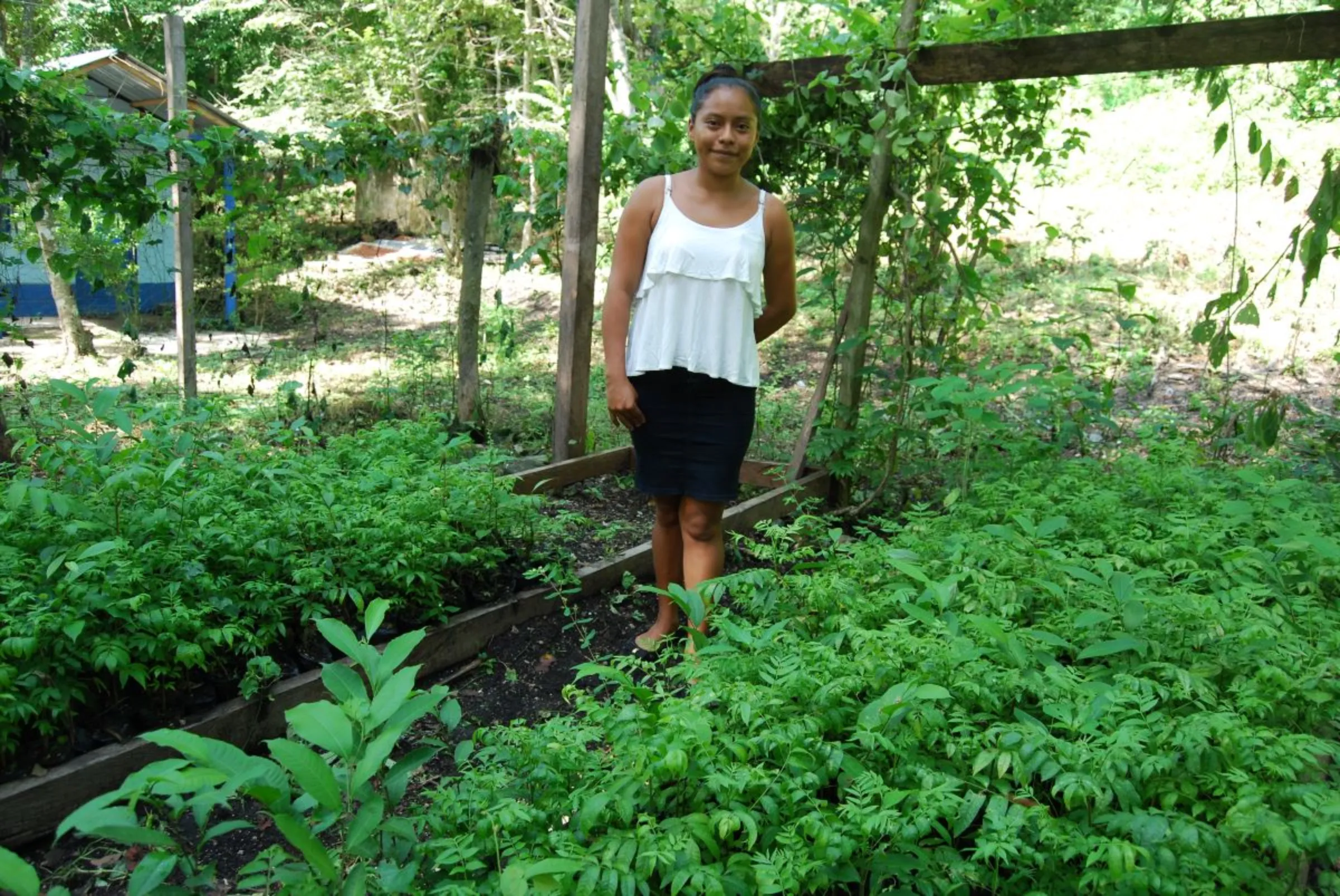 Subsistence farmer Deura Lopez stands next to a nursery of cedar and mahogany seedlings in the Maya Biosphere Reserve, Peten, Guatemala. September 12, 2023