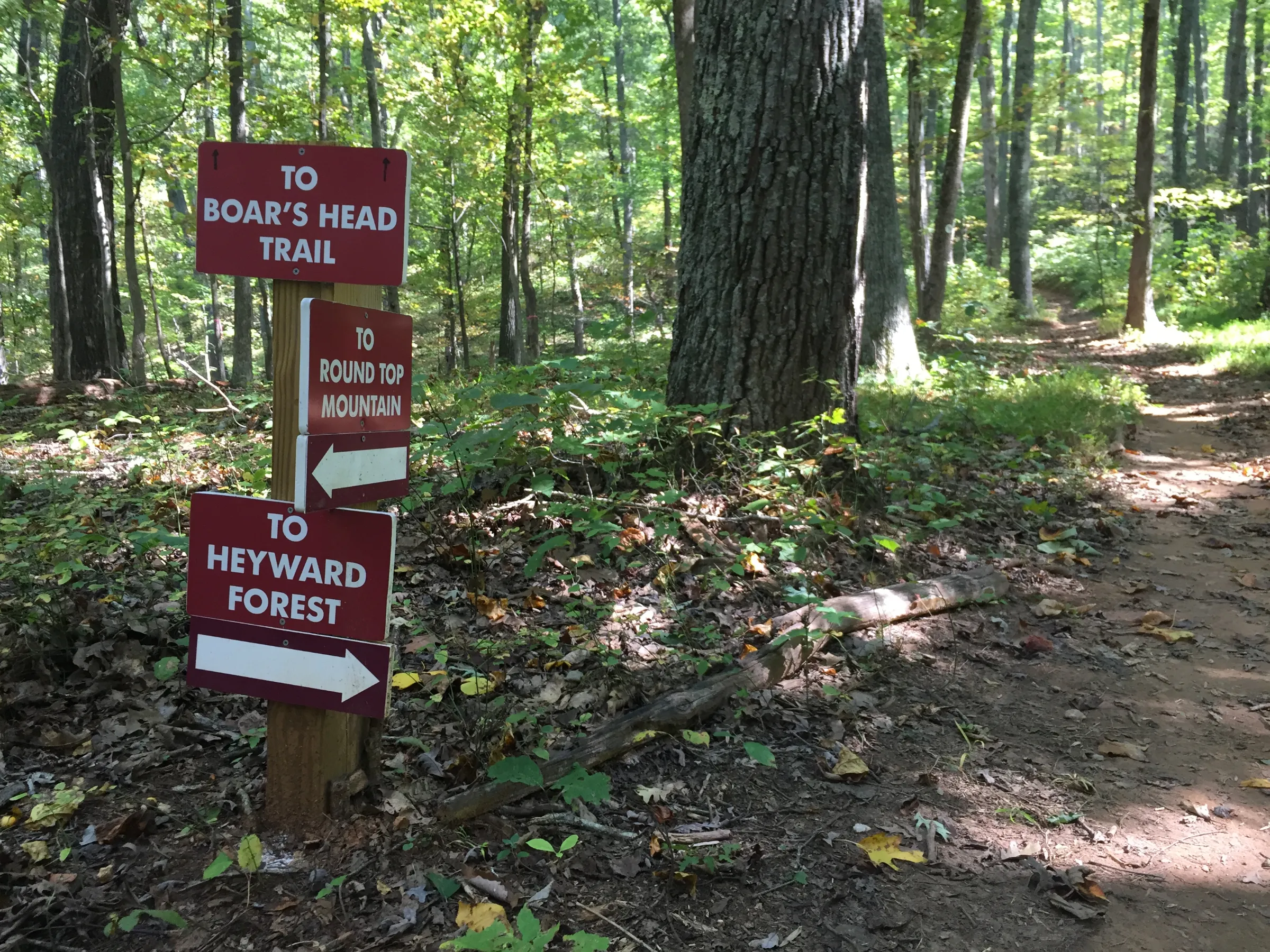 Trail signs in the new Heyward Community Forest in Charlottesville, Virginia.