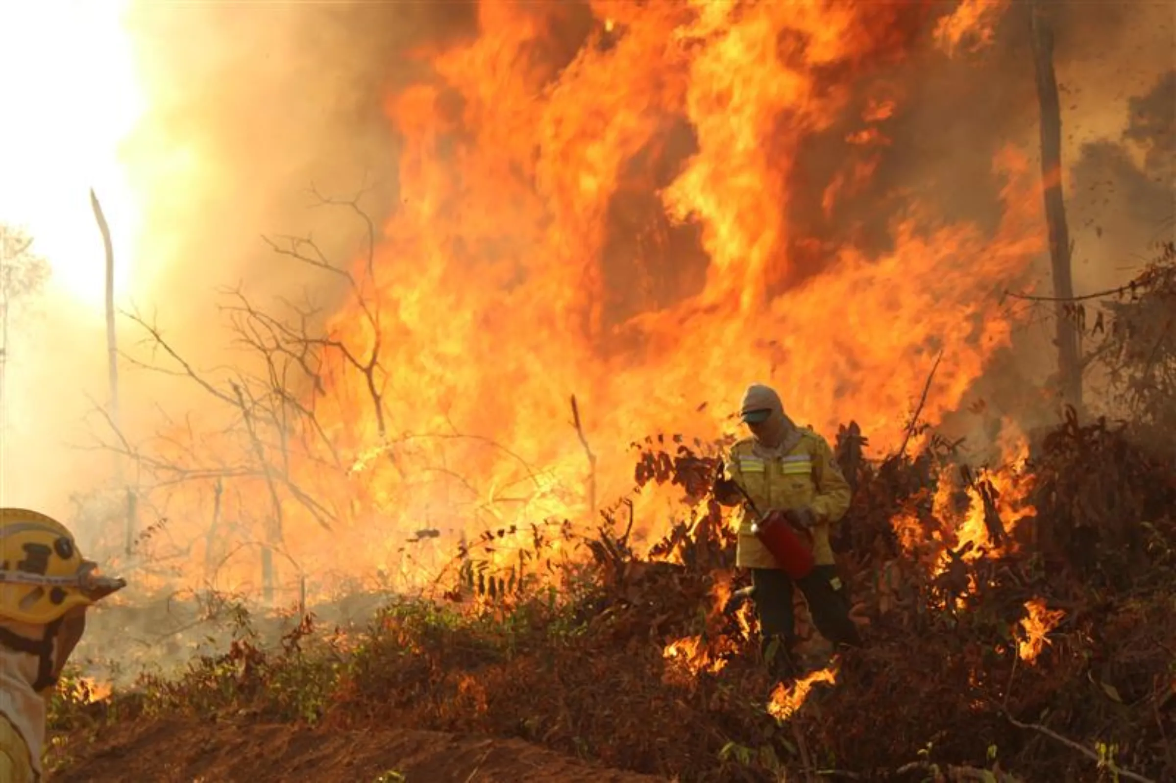 A local Indigenous PrevFogo firefighter ignites controlled blazes to clear an Amazon rainforest area to make room for a manioc root crop, Xingu Indigenous Park, Brazil, September 1, 2025. THOMSON REUTERS FOUNDATION/André Cabette Fábio
