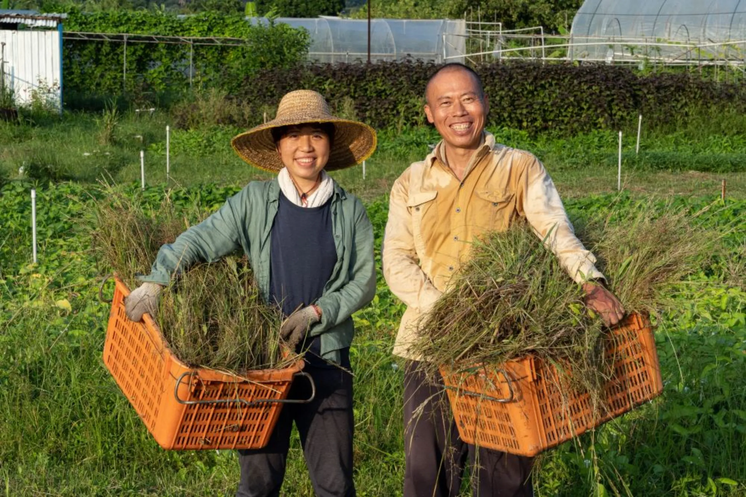 Yu-wing Wong is seen with his assistant Kelly Lau at his farm in the New Territories, Hong Kong in 2020. Handout via Thomson Reuters Foundation