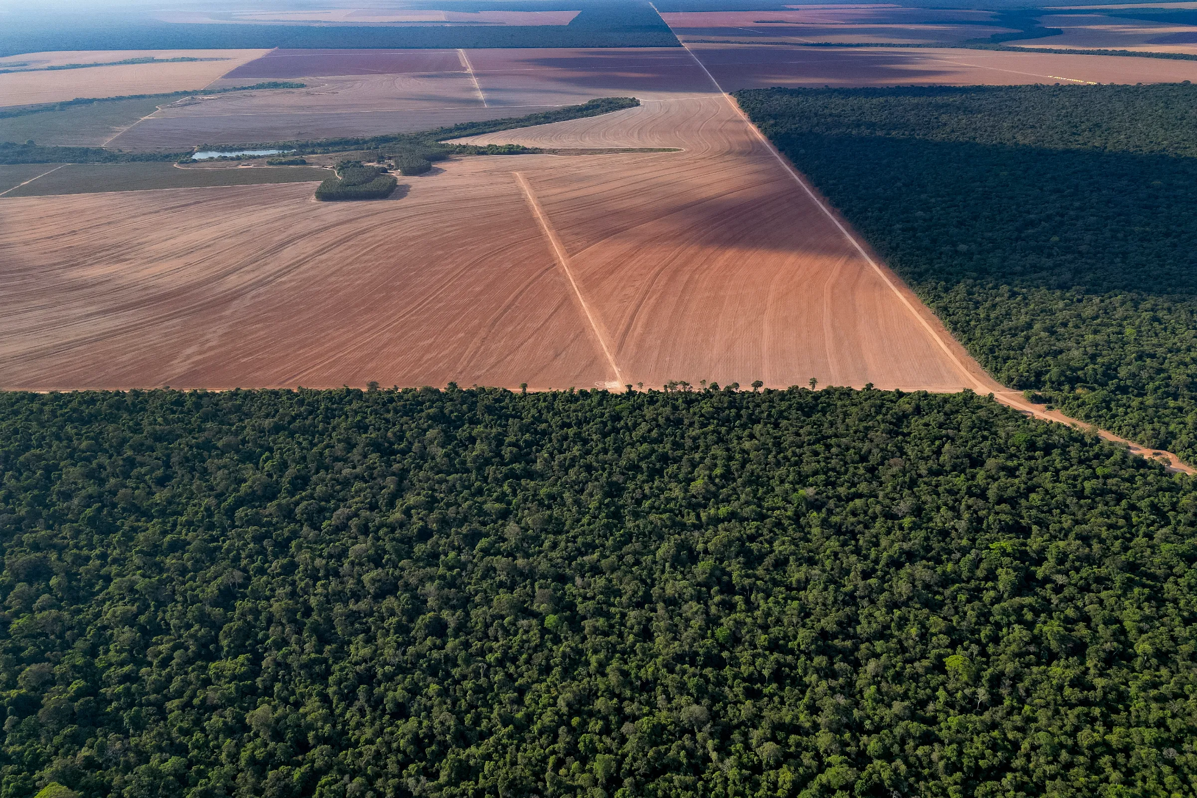 Aerial drone picture shows Amazon rainforest amid grainfields in Querência, Brazil, August 25, 2025. Thomson Reuters Foundation/Rogério Florentino