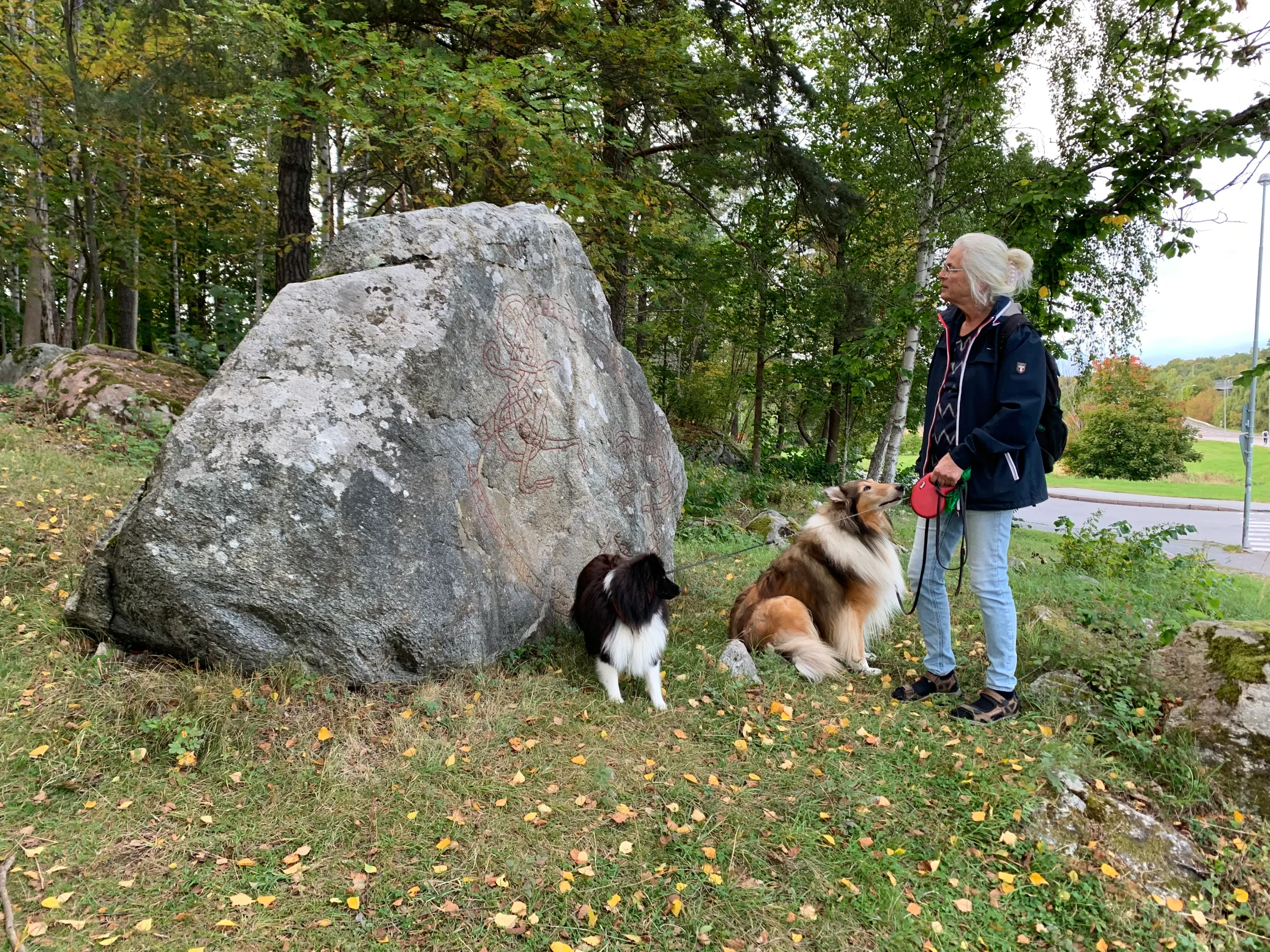 A woman examines Viking inscriptions on a boulder at Upplands Väsby, Sweden, marking at what was a wharf for seagoing ships 1,000 years ago, September 15, 2022. The land has since risen and is five metres above the level of the Baltic Sea. Thomson Reuters Foundation/Alister Doyle