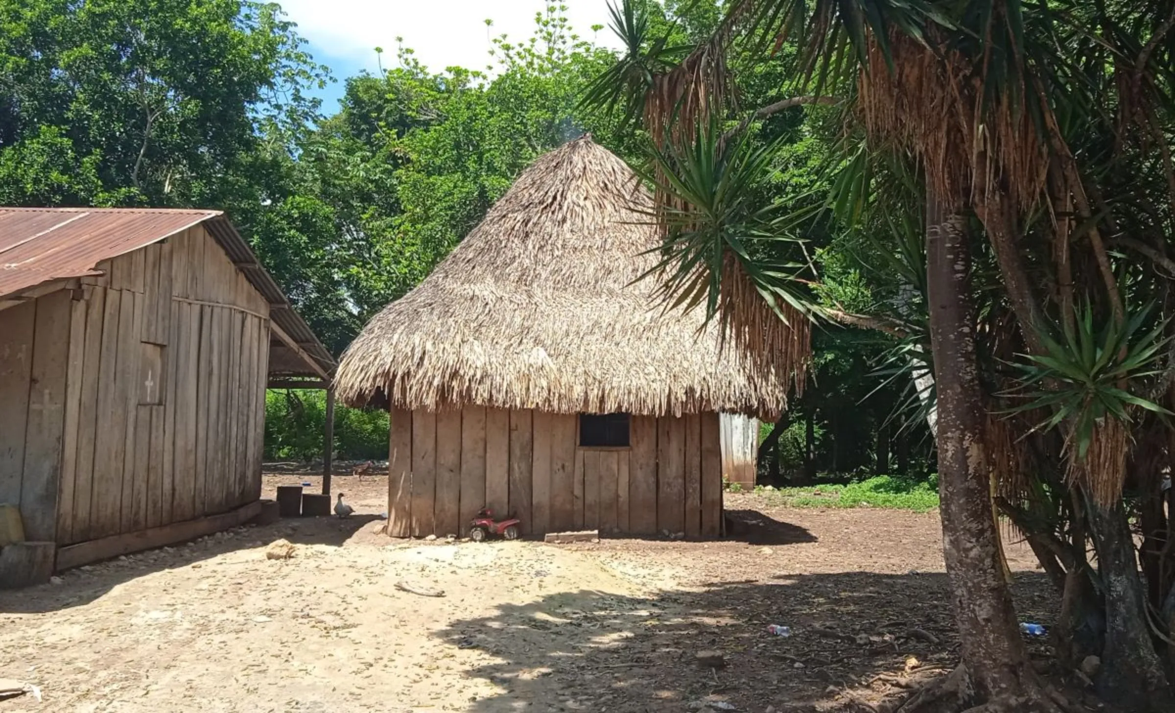 Homes of villagers in the Maya Biosphere Reserve, Peten, Guatemala. September 12, 2023