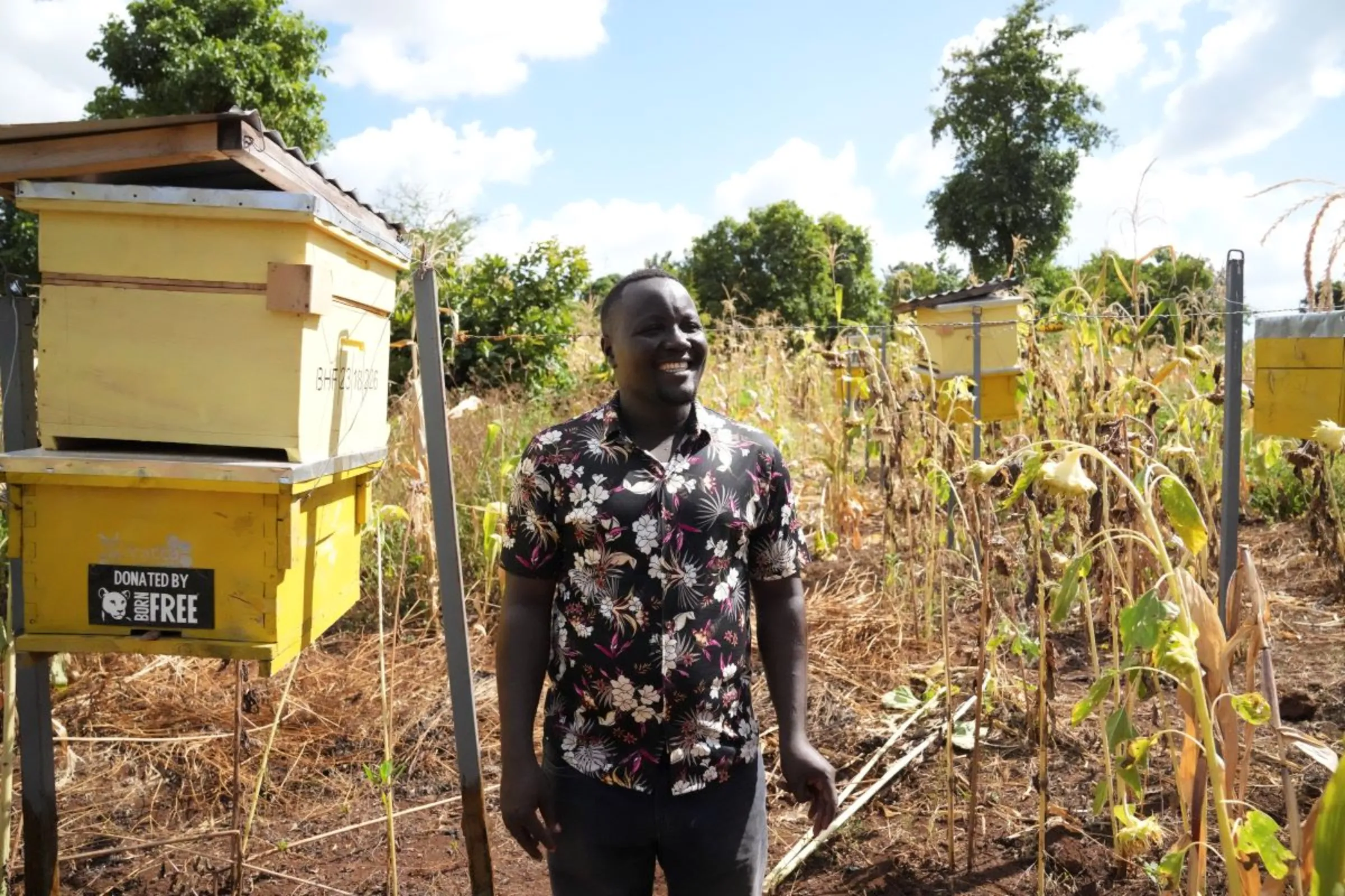 Kenyan farmer Alexander Mburung'a poses beside his beehive fence which keeps elephants from straying onto his farm near Meru National Park in central Kenya on Feb. 7, 2024. Thomson Reuters Foundation/Stringer