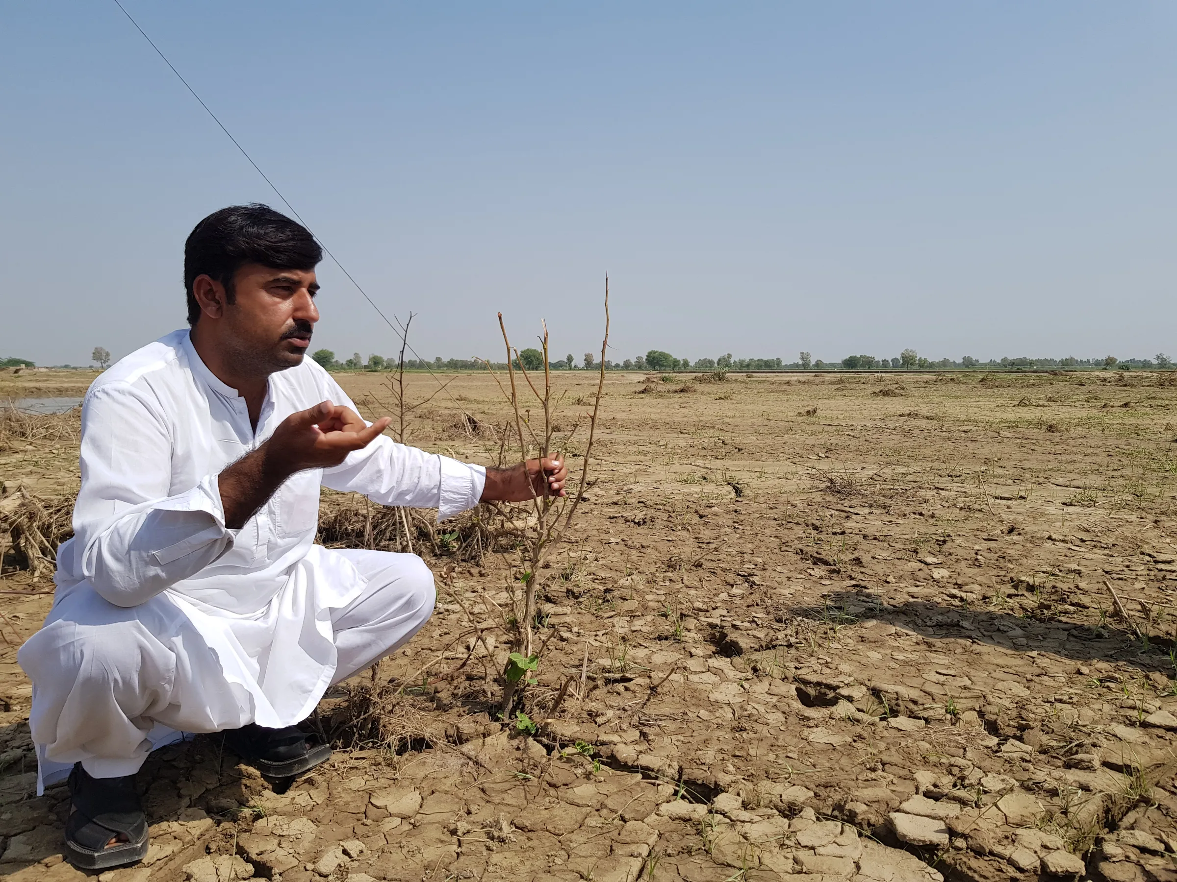 Omar Daraz, a cotton grower, shows his flood-ravaged crop field in Hasanabad, Pakistan, September 28, 2022. Thomson Reuters Foundation/Waqar Mustafa