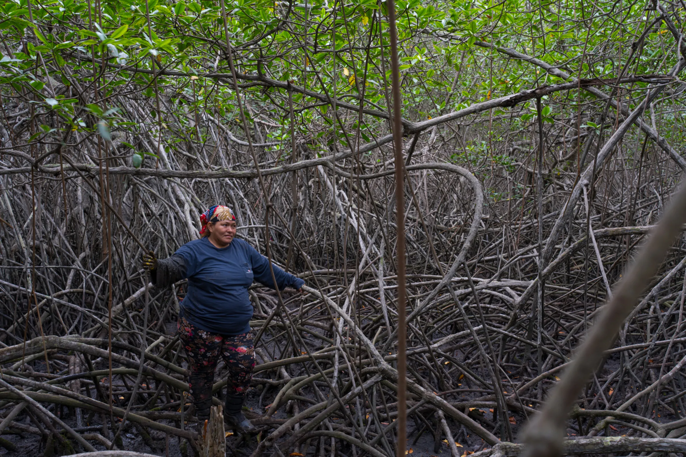 A woman stands leaning on mangrove branches