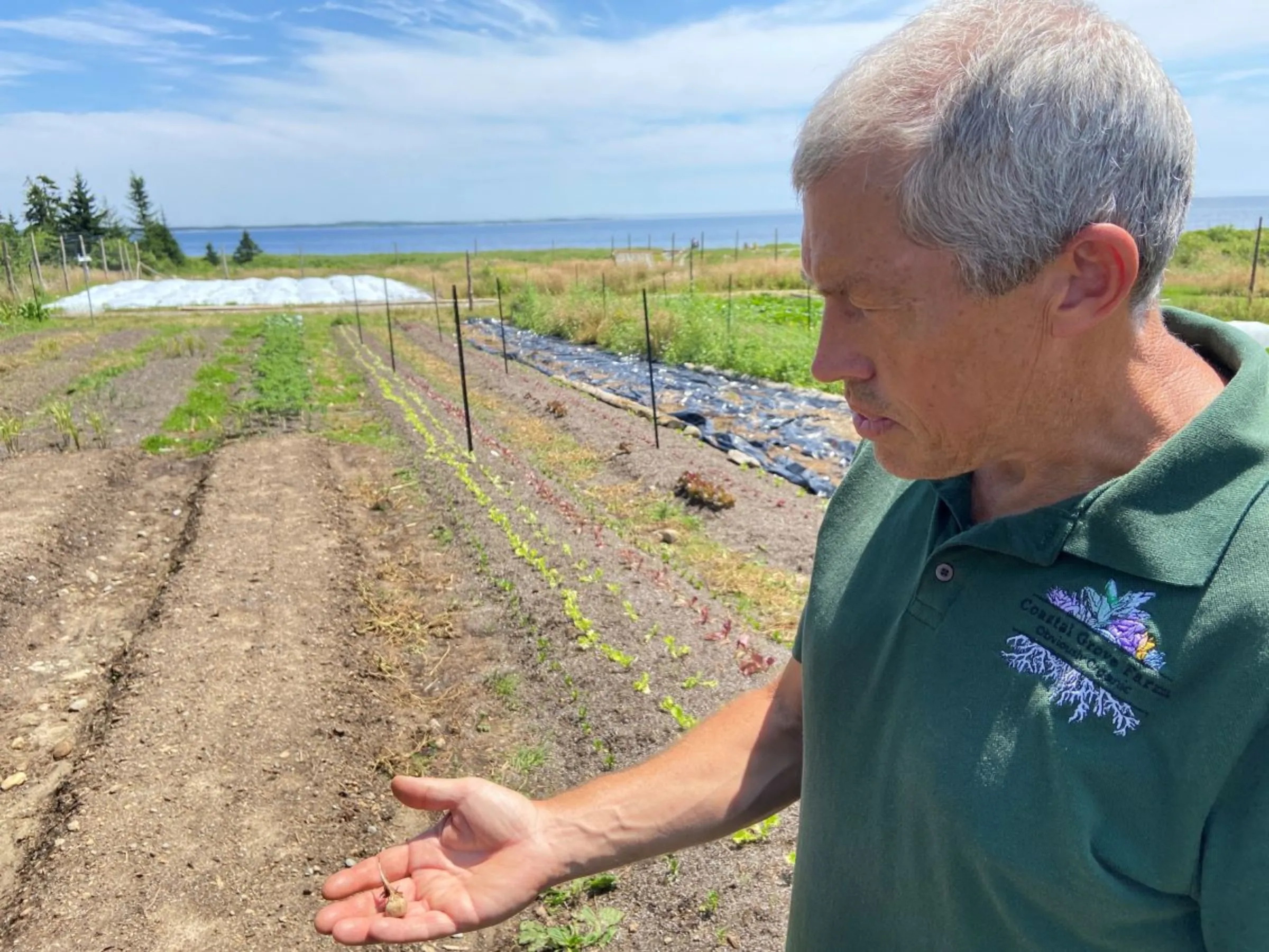 Matthew Roy, owner of Coastal Grove Farm, is pictured close to where he grows saffron at the farm in Nova Scotia, Canada, July 24, 2023