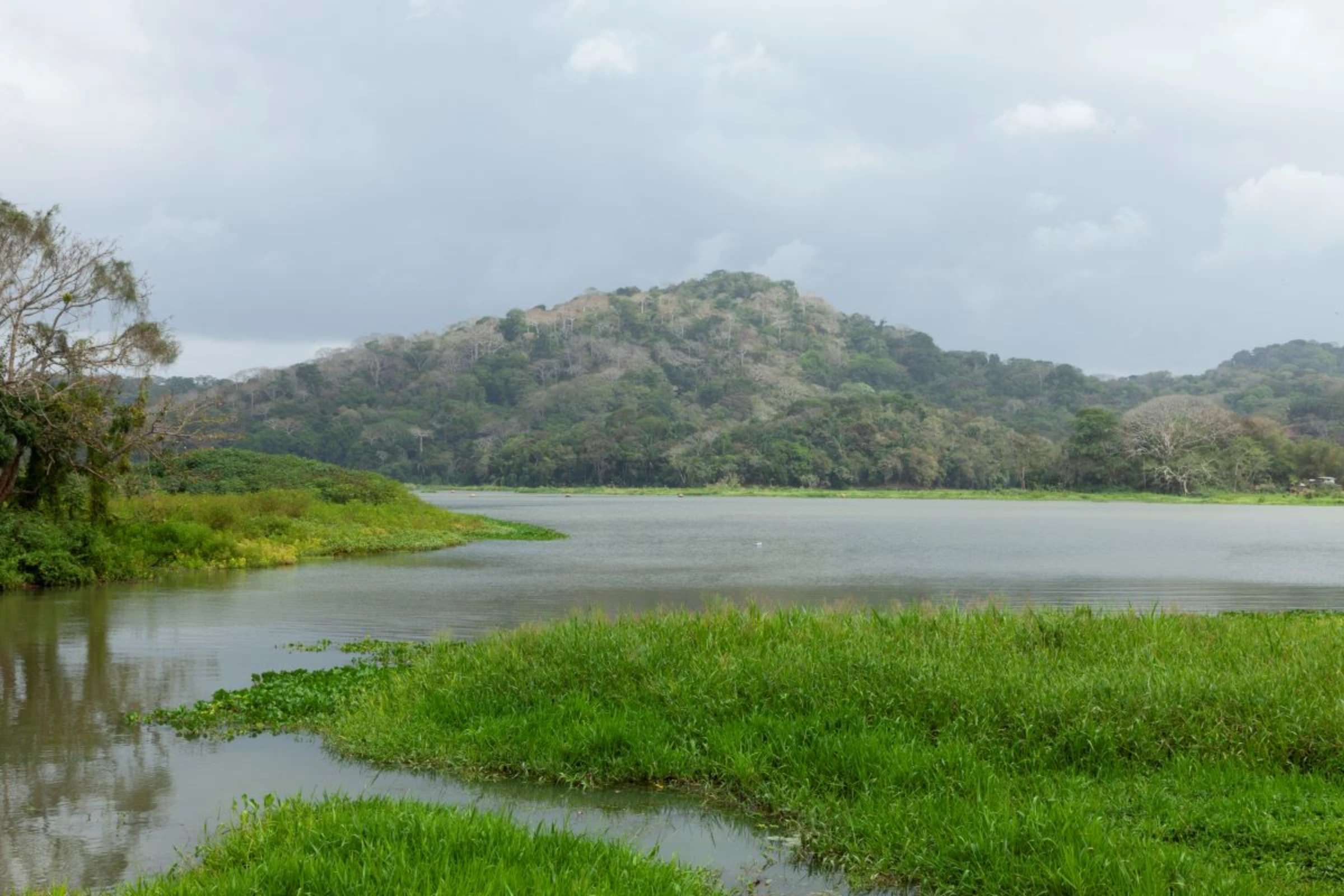Forested hills surrounding Gatún Lake near the Panama Canal, Panama, February 16, 2024. Forests play a crucial role in managing the flow of water to the lake. Thomson Reuters Foundation/Enea Lebrun.